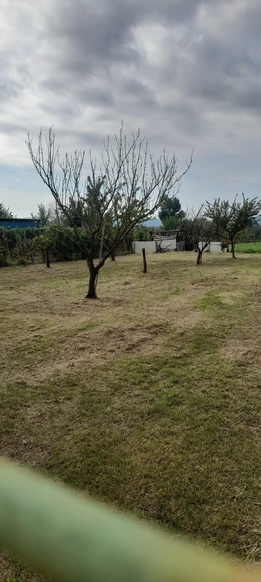 Terreno Agricolo in vendita, Prato castelnuovo