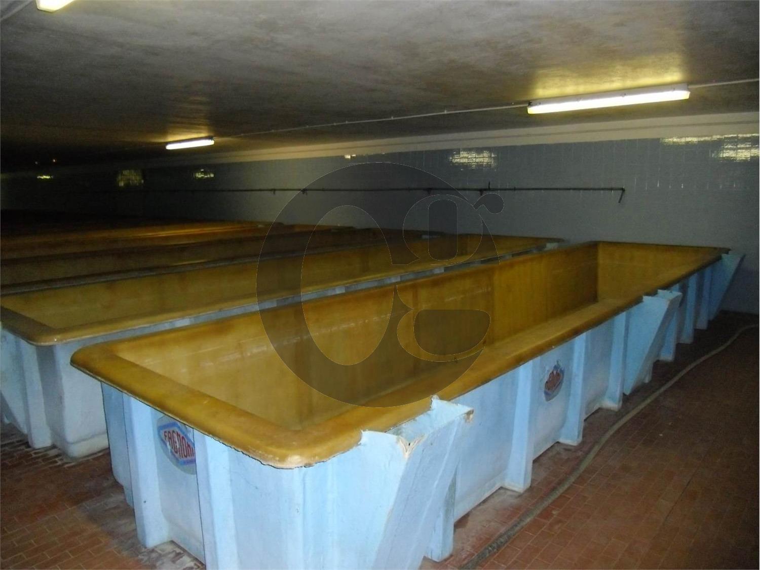 Locale commerciale in vendita a Busseto