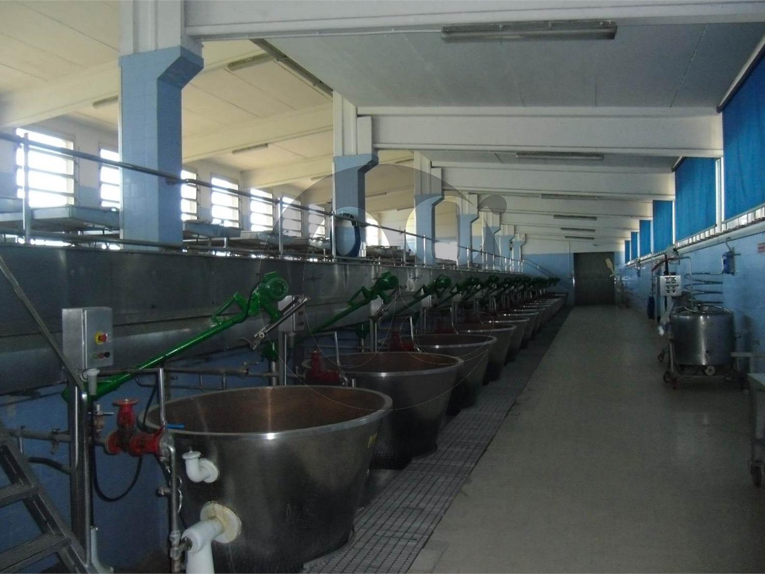 Locale commerciale in vendita a Busseto