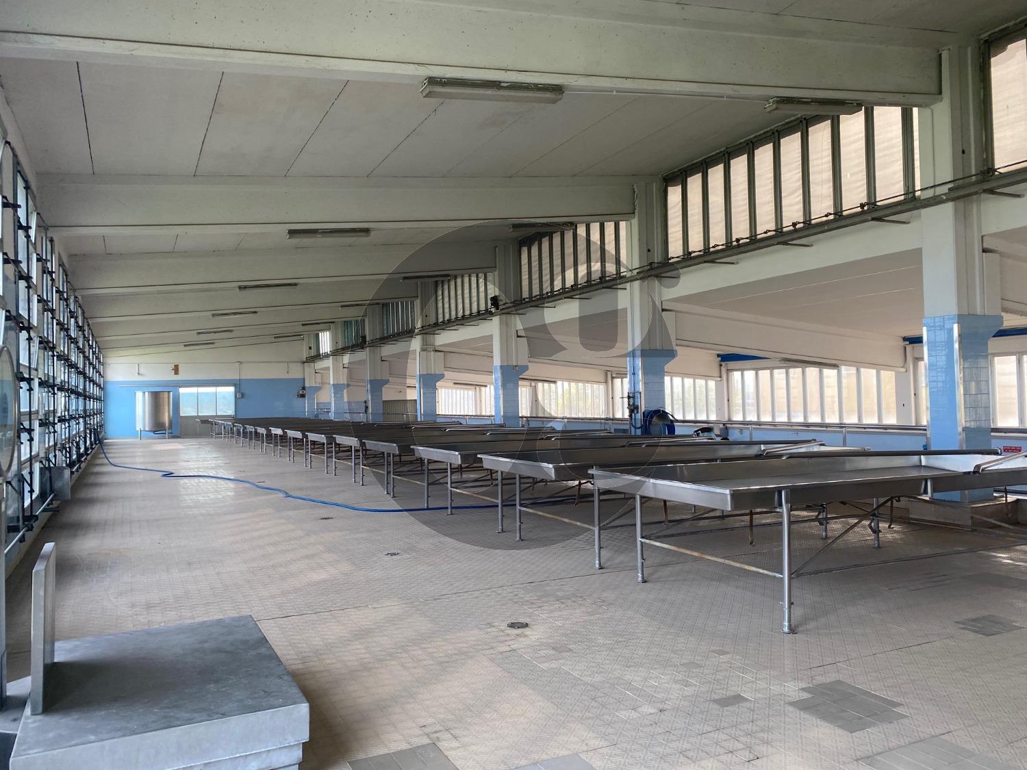 Locale commerciale in vendita a Busseto