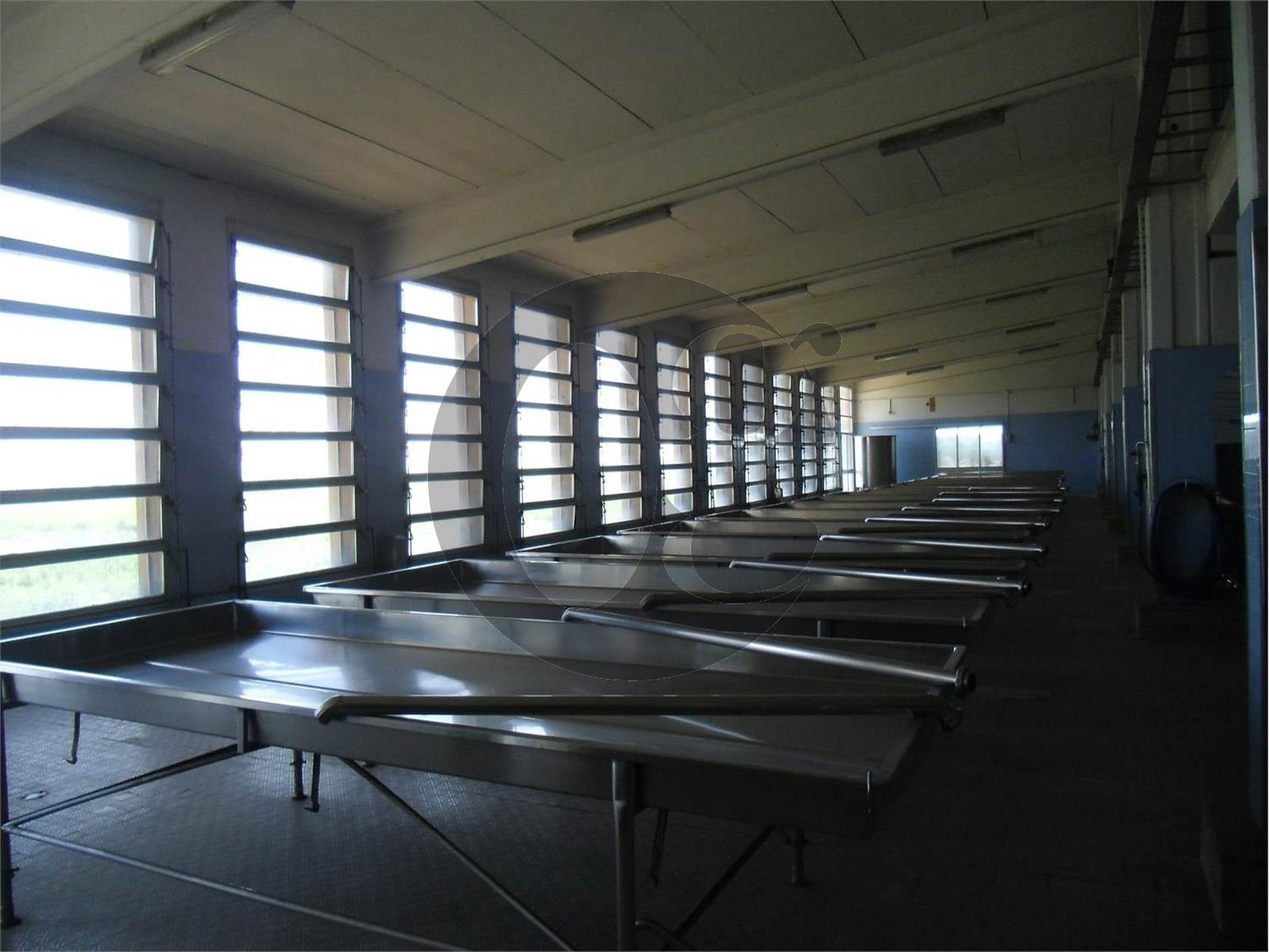 Locale commerciale in vendita a Busseto