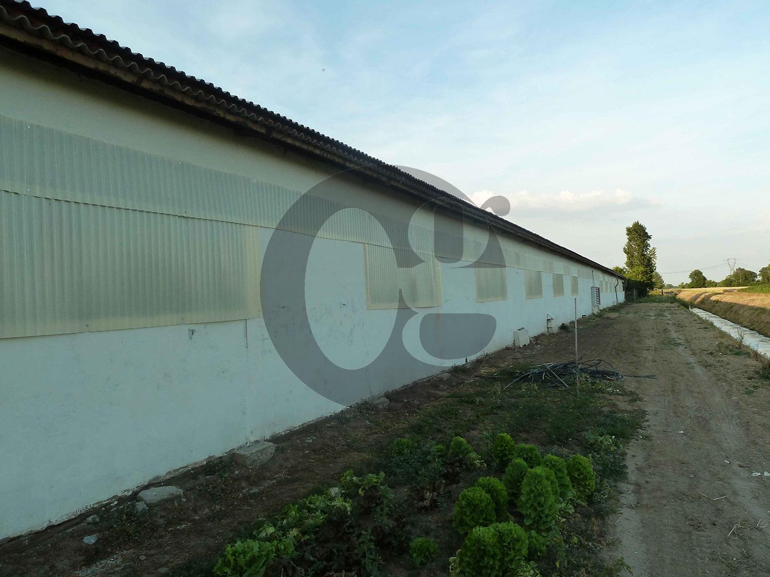 Locale commerciale con box a Cingia de' Botti