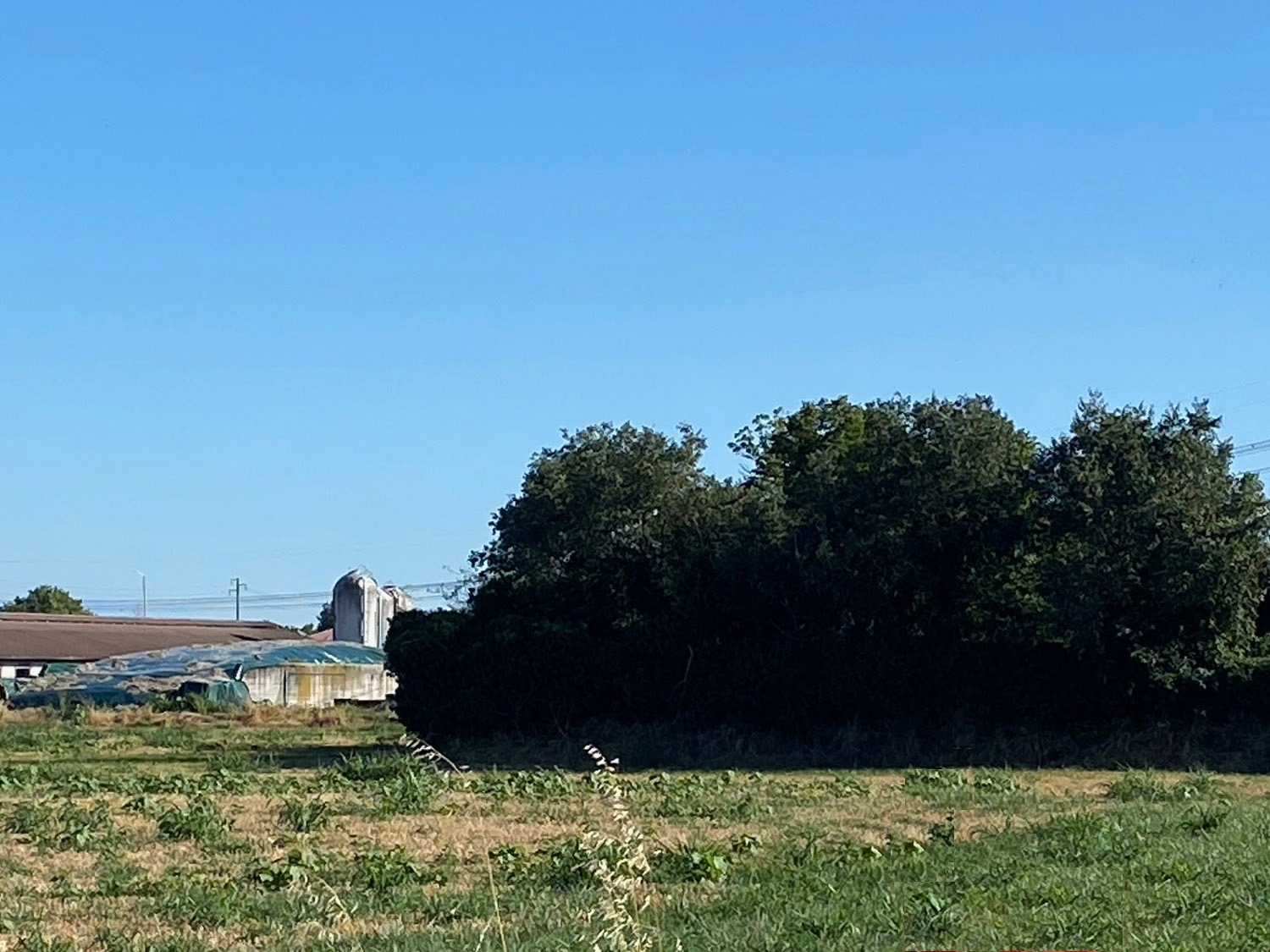 Terreno in vendita a Poncarale