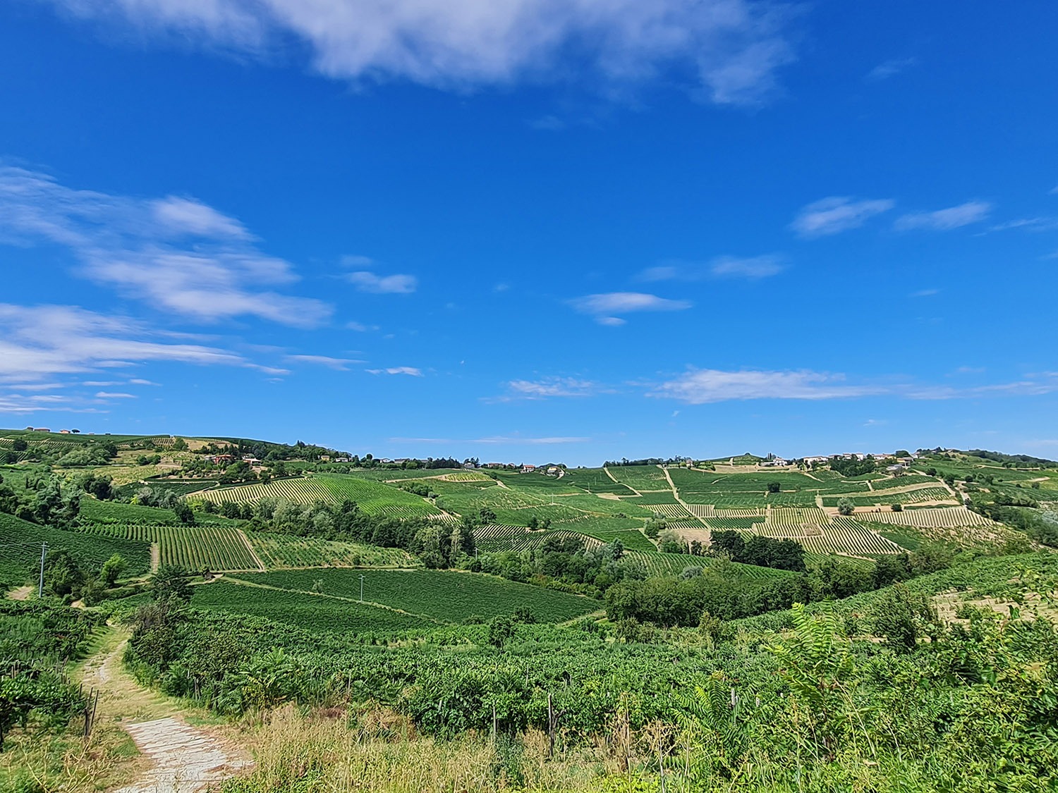 Terreno in vendita a Montecalvo Versiggia