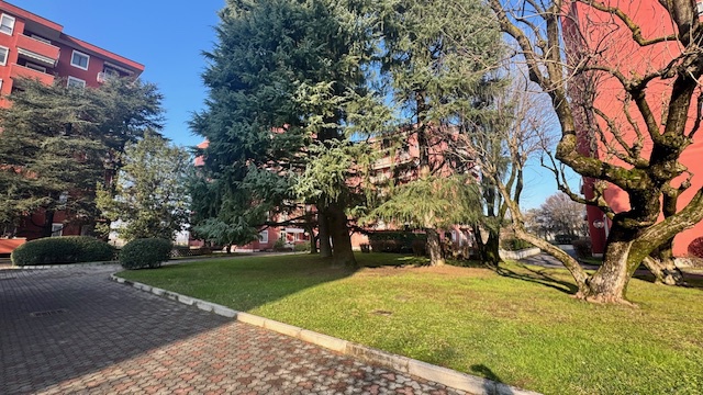 Trilocale in vendita in don minzoni, Opera