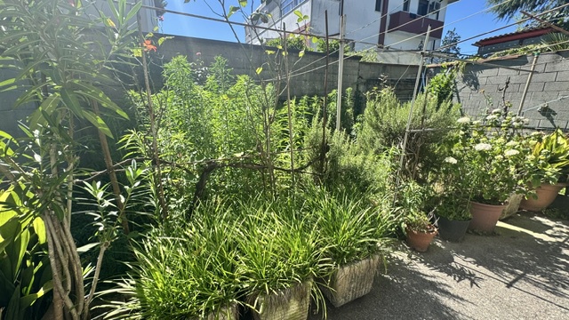 Casa indipendente con giardino a Opera