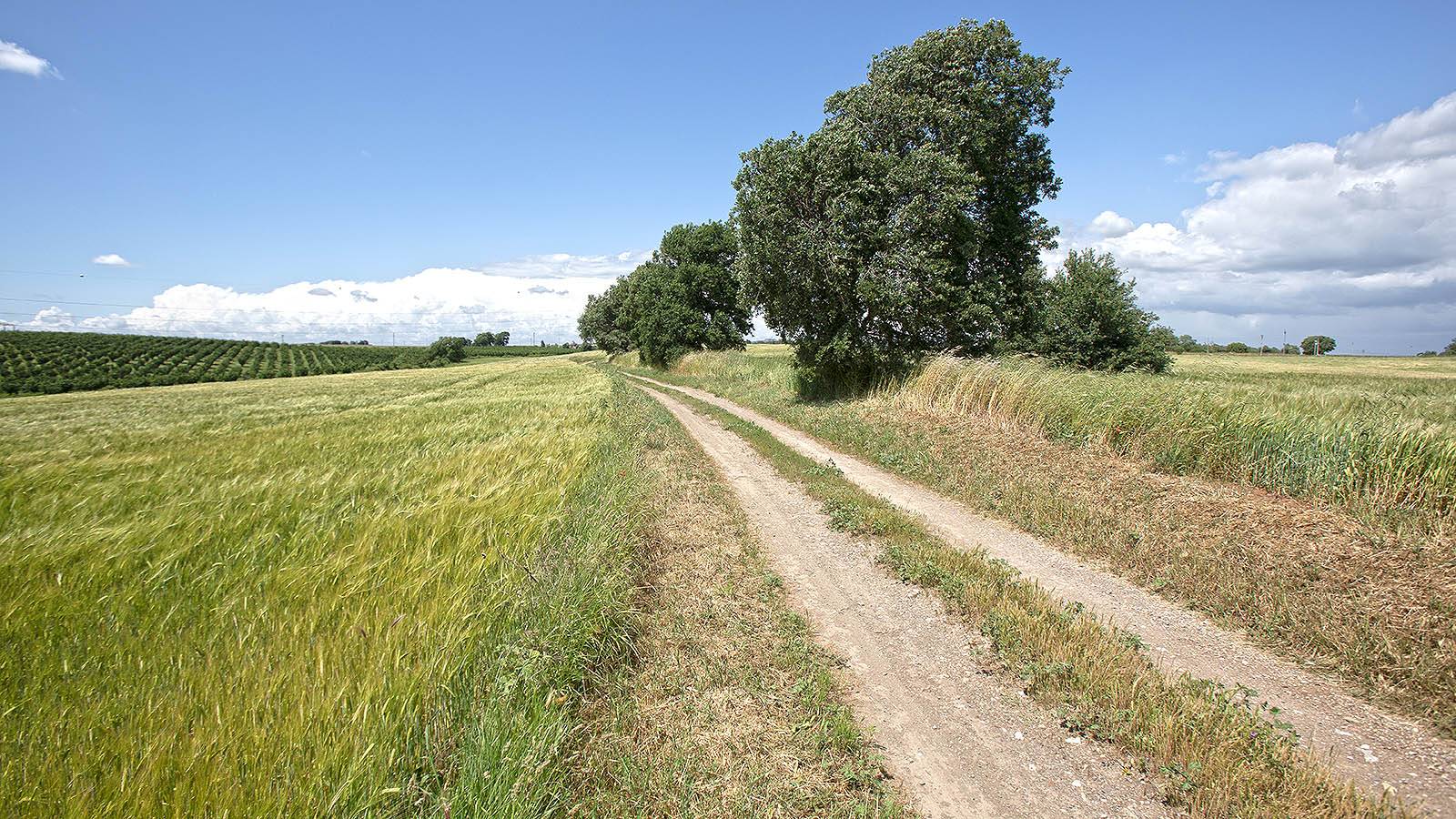 Terreno in vendita, Viterbo periferia