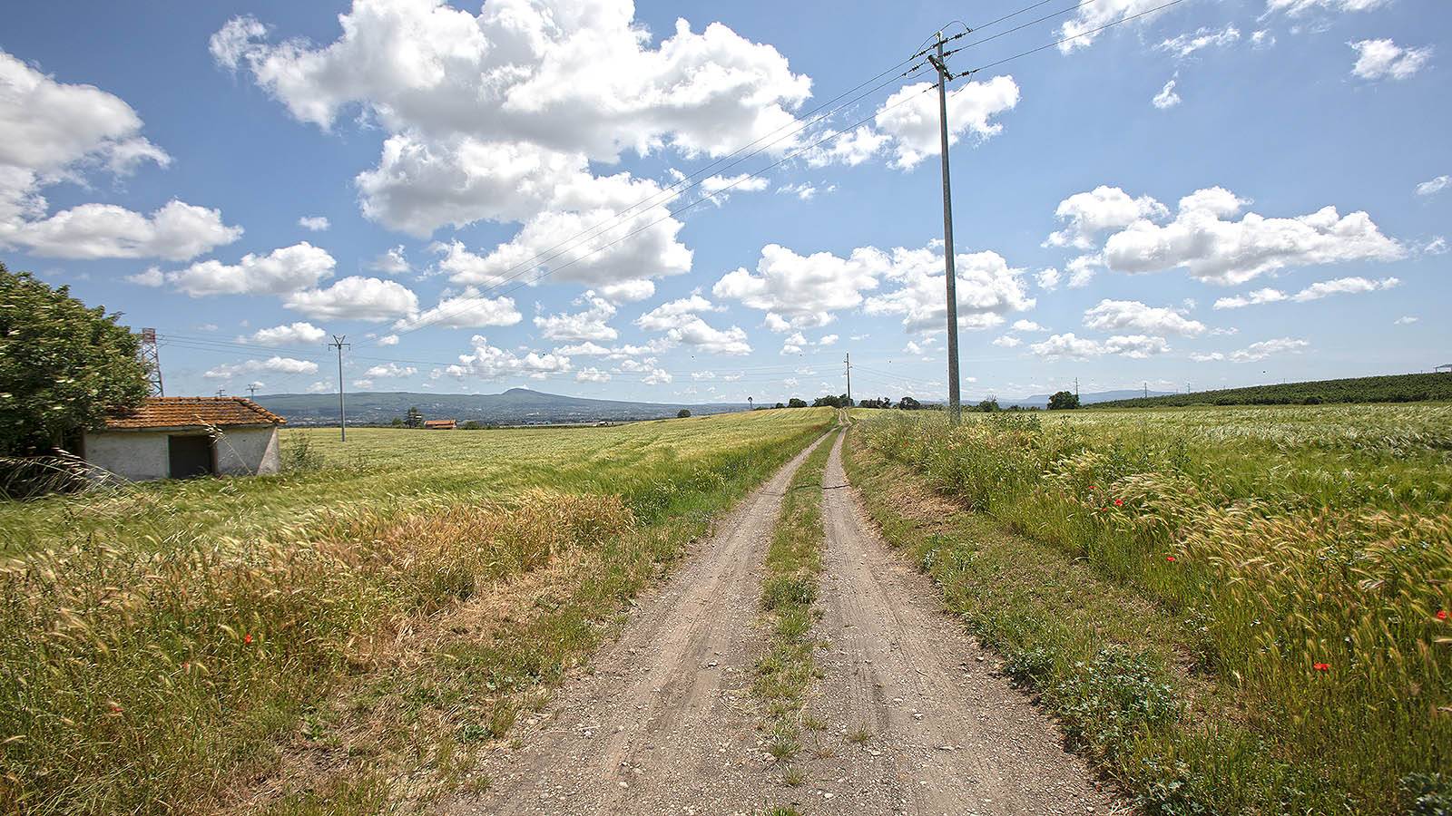 Terreno agricolo in vendita a Viterbo, Periferia