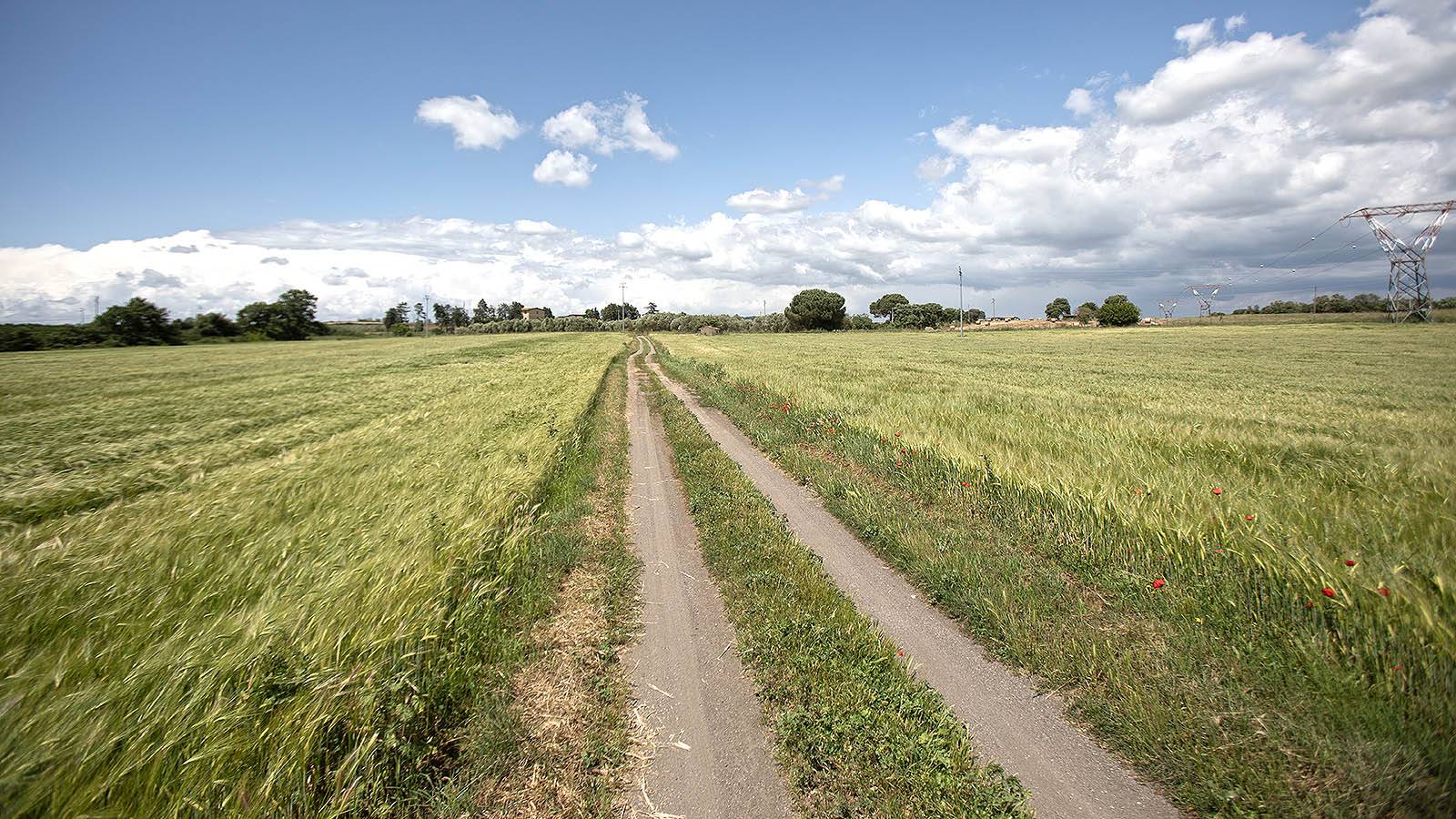 Terreno agricolo in vendita a Viterbo, Periferia