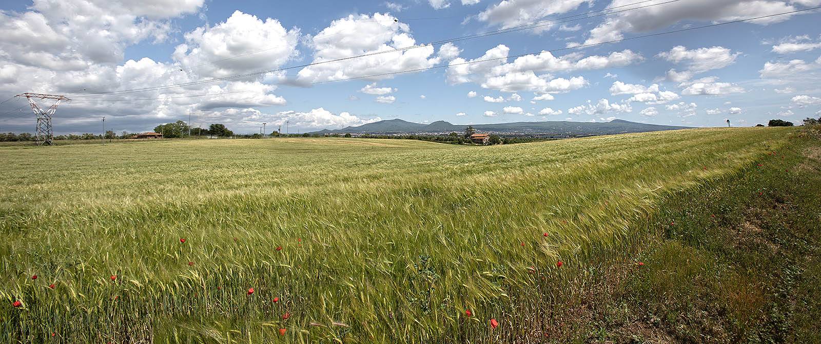 Terreno agricolo in vendita a Viterbo, Periferia
