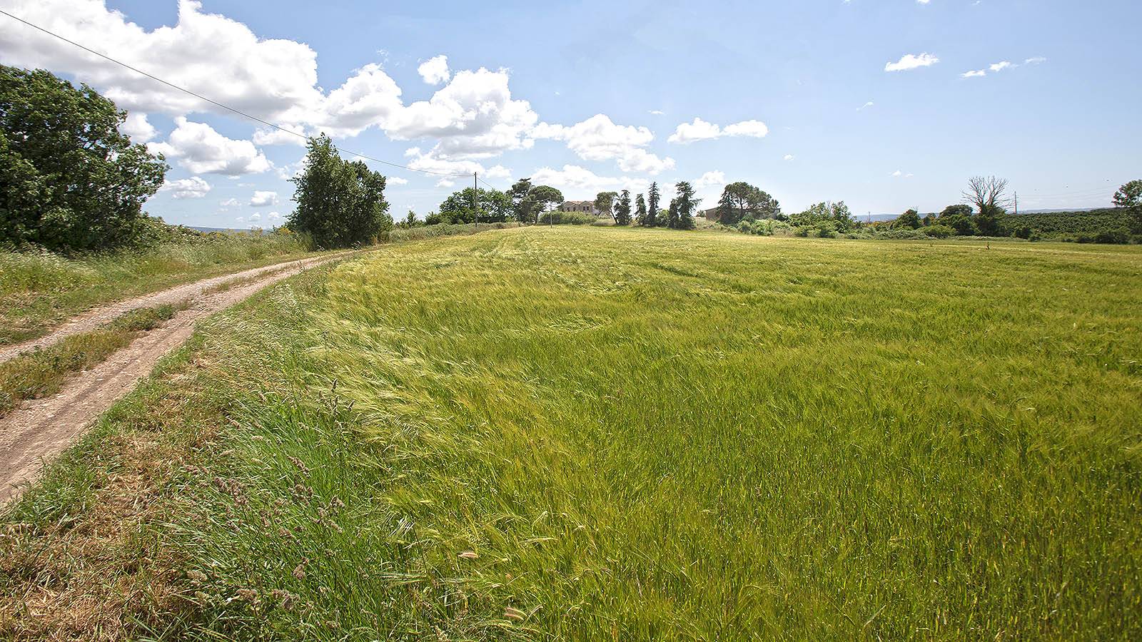 Terreno agricolo in vendita a Viterbo, Periferia