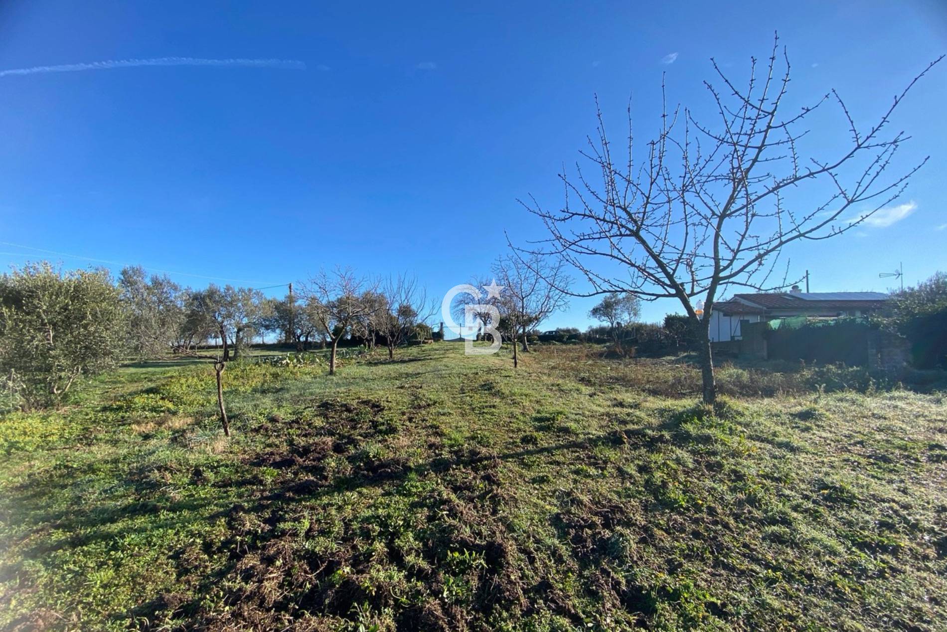 Terreno agricolo in vendita a Viterbo, Periferia
