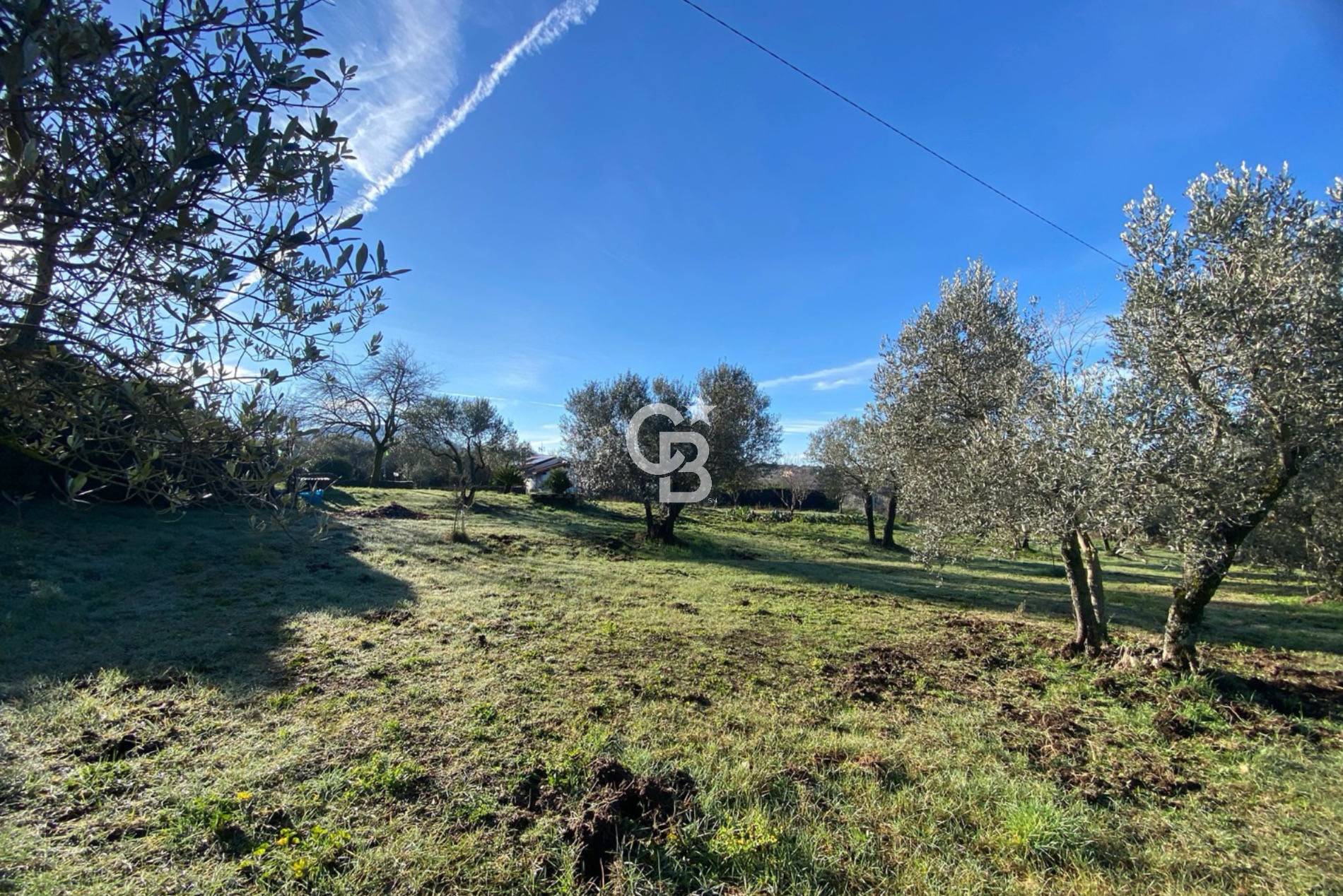 Terreno agricolo in vendita a Viterbo, Periferia