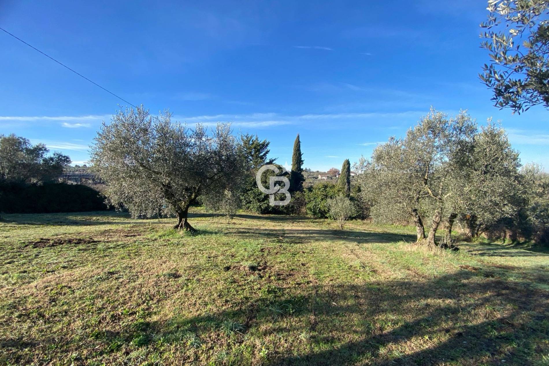 Terreno agricolo in vendita a Viterbo, Periferia