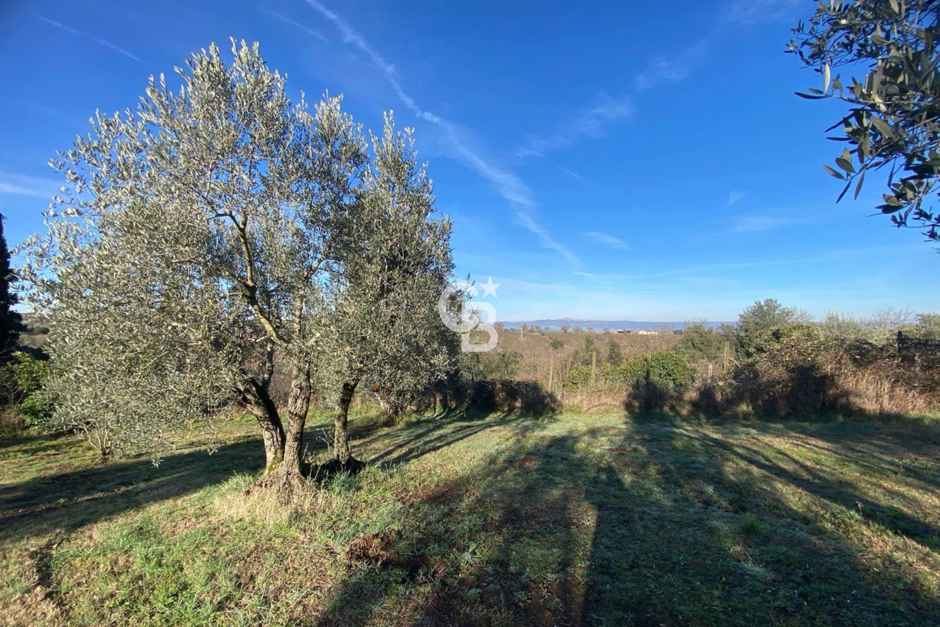 Terreno agricolo in vendita a Viterbo, Periferia
