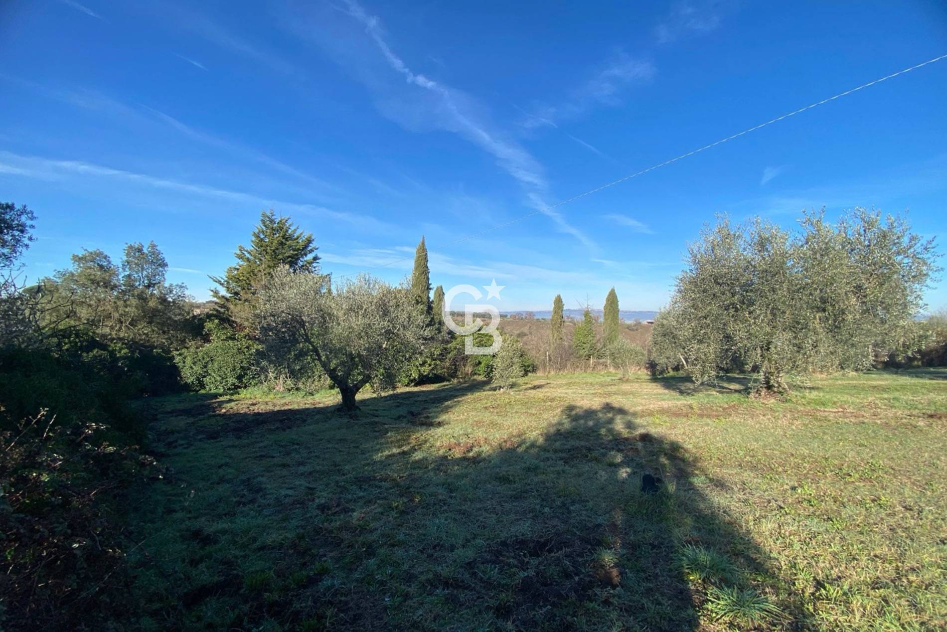 Terreno agricolo in vendita a Viterbo, Periferia