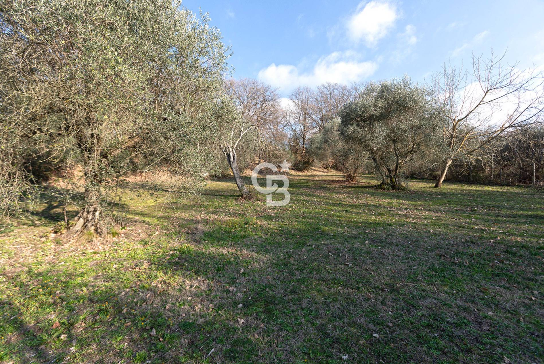 Villino in vendita a Viterbo, Periferia