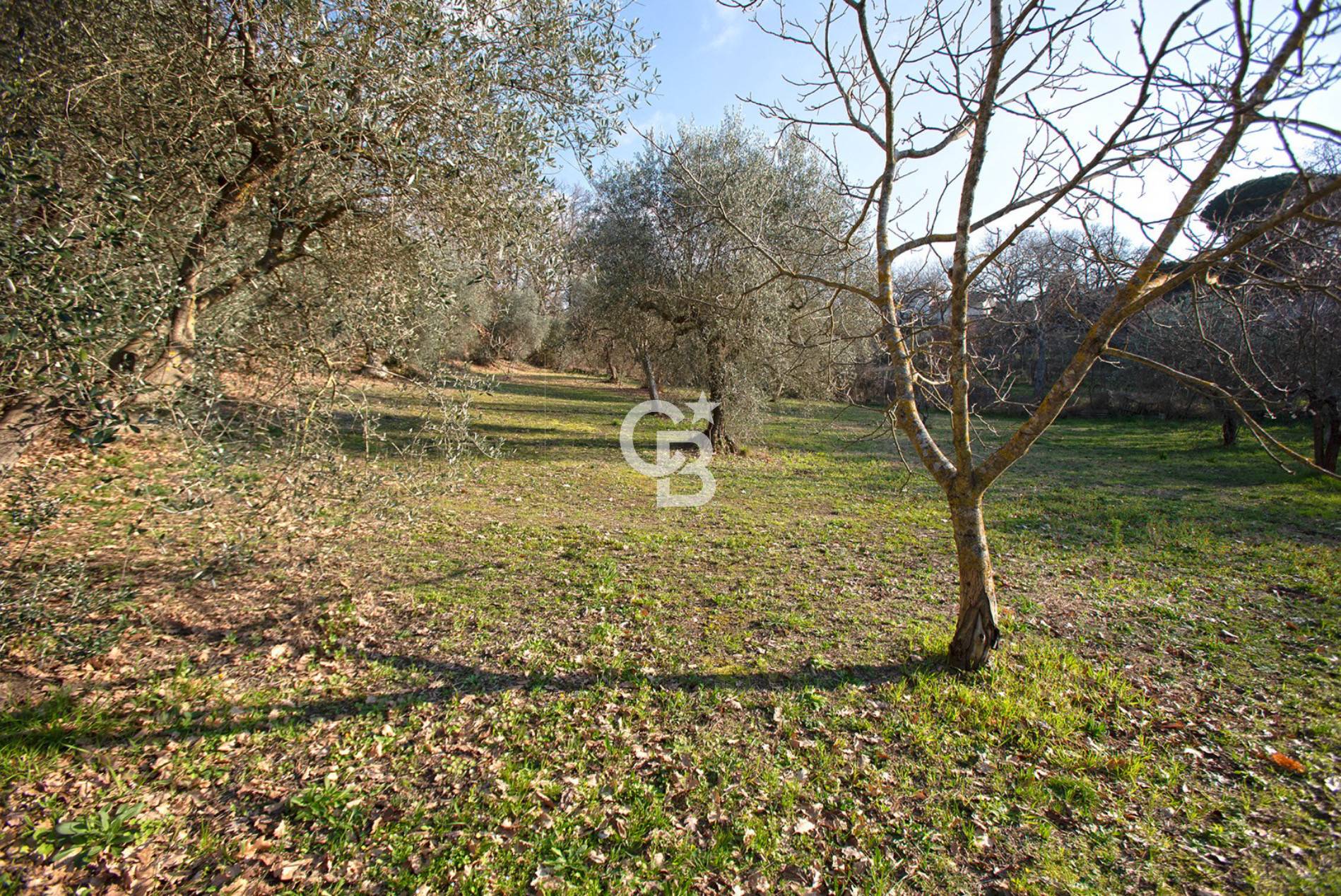 Villino in vendita a Viterbo, Periferia