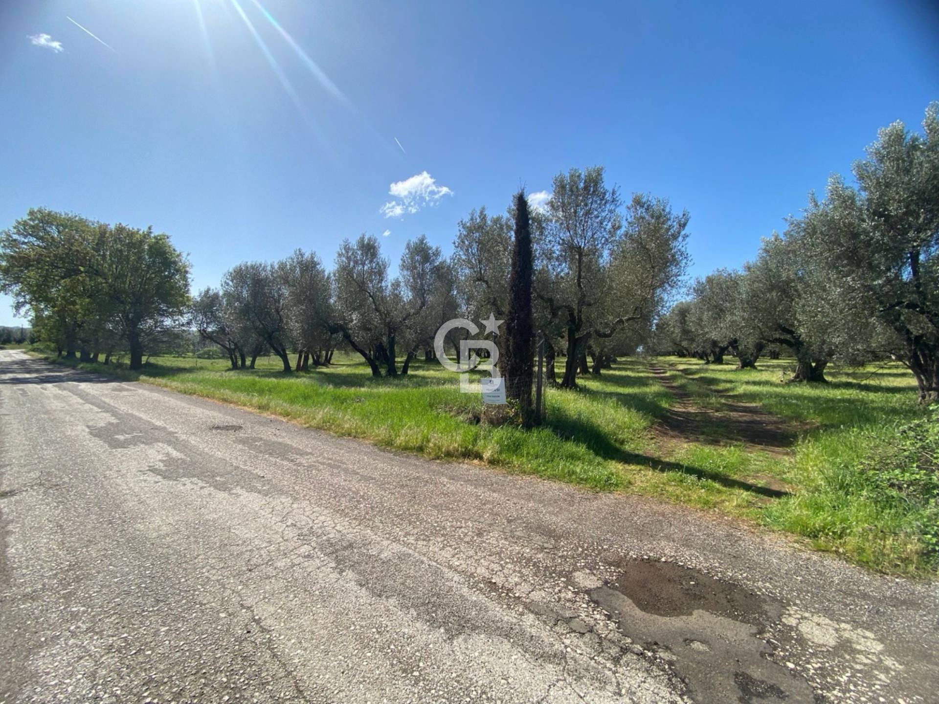 Terreno agricolo in vendita a Vetralla