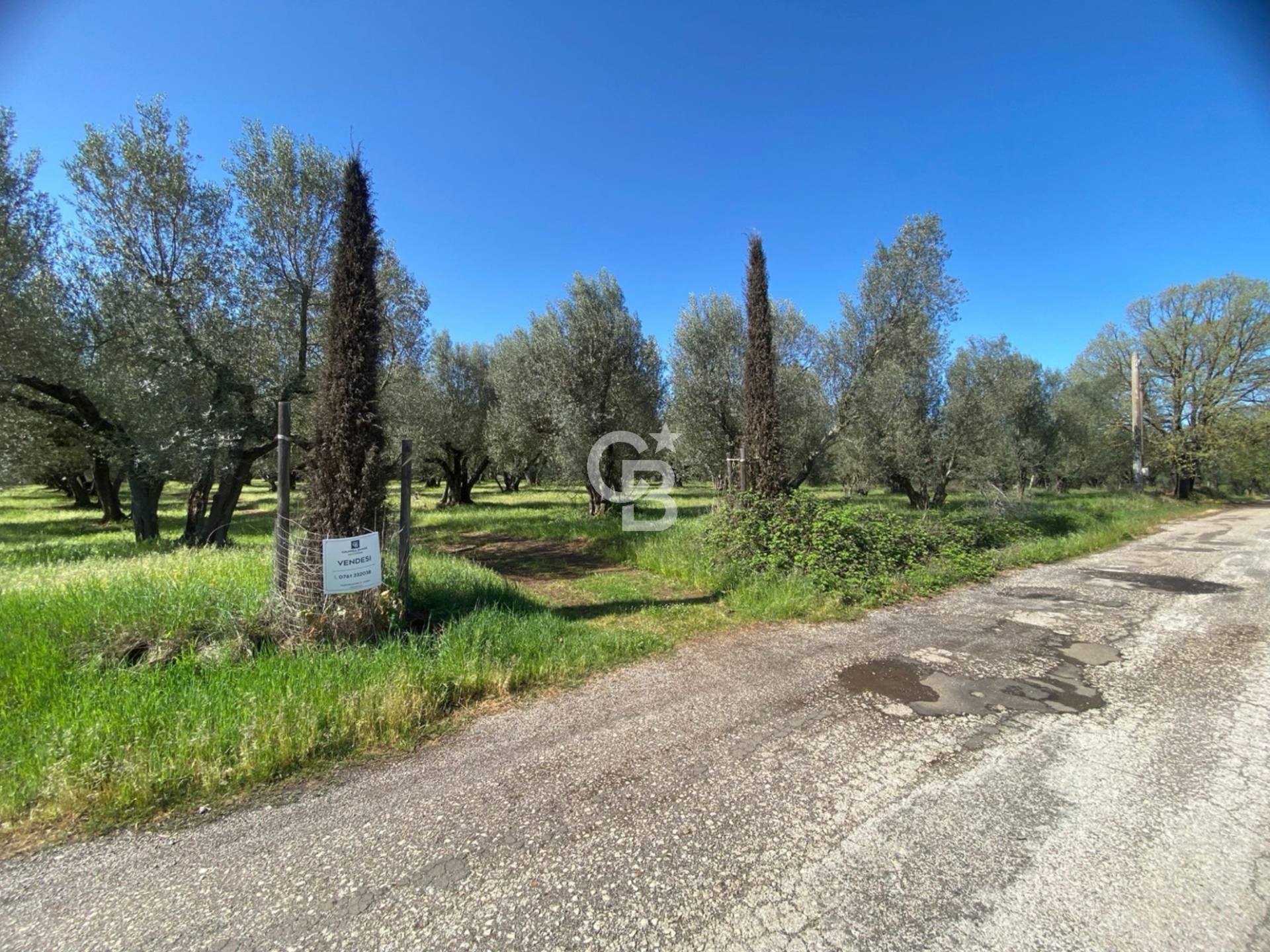 Terreno agricolo in vendita a Vetralla