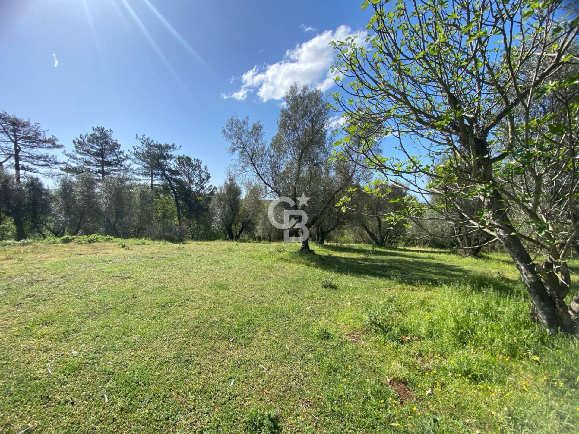 Terreno agricolo in vendita a Vetralla