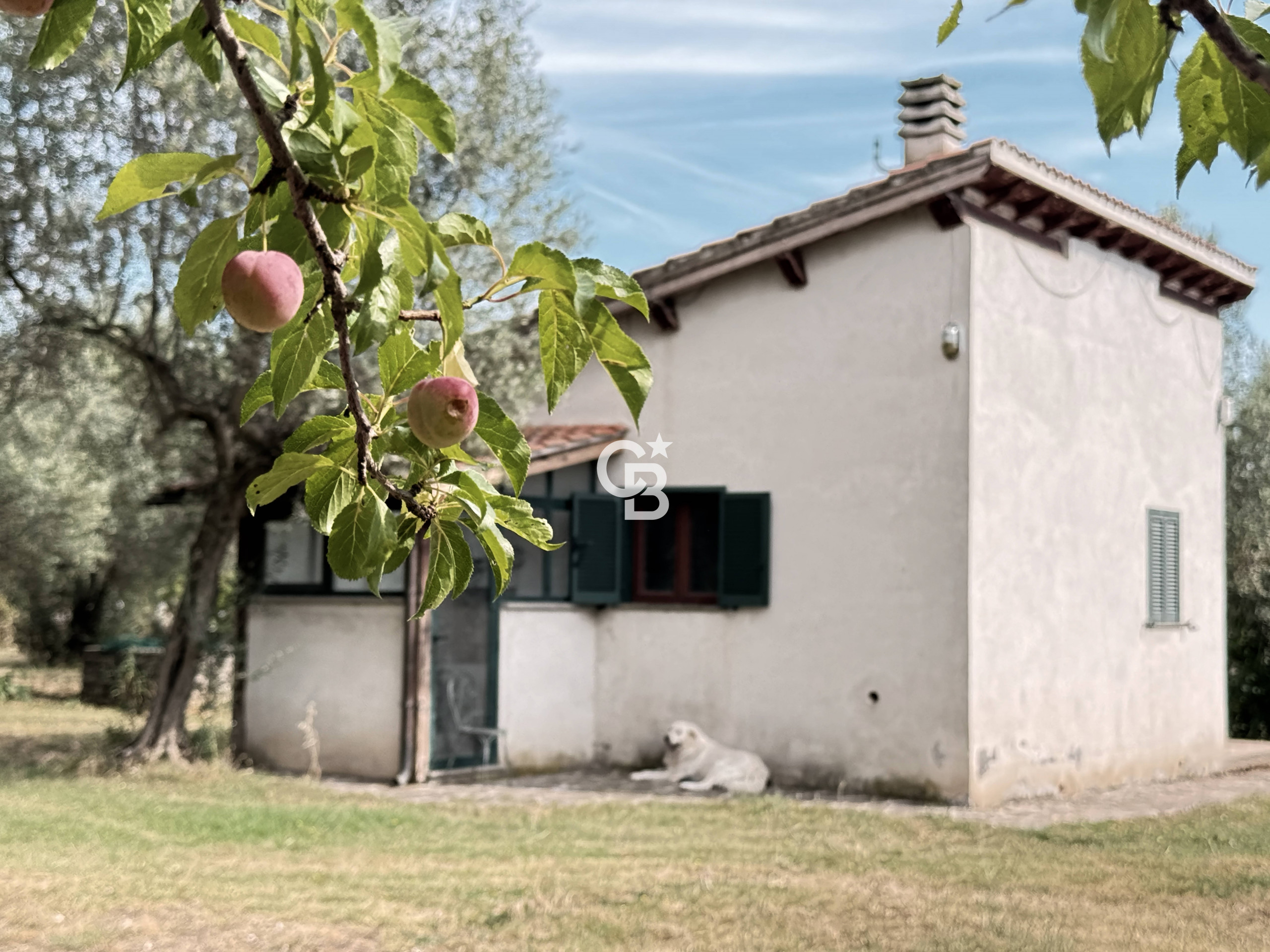 Casa indipendente in vendita a Vetralla