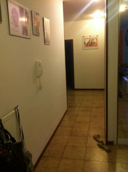 immagine annuncio 3 di 6