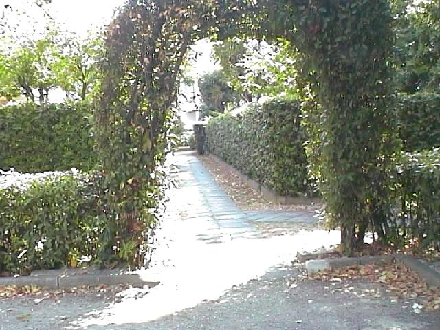 Appartamento in vendita a Martinsicuro