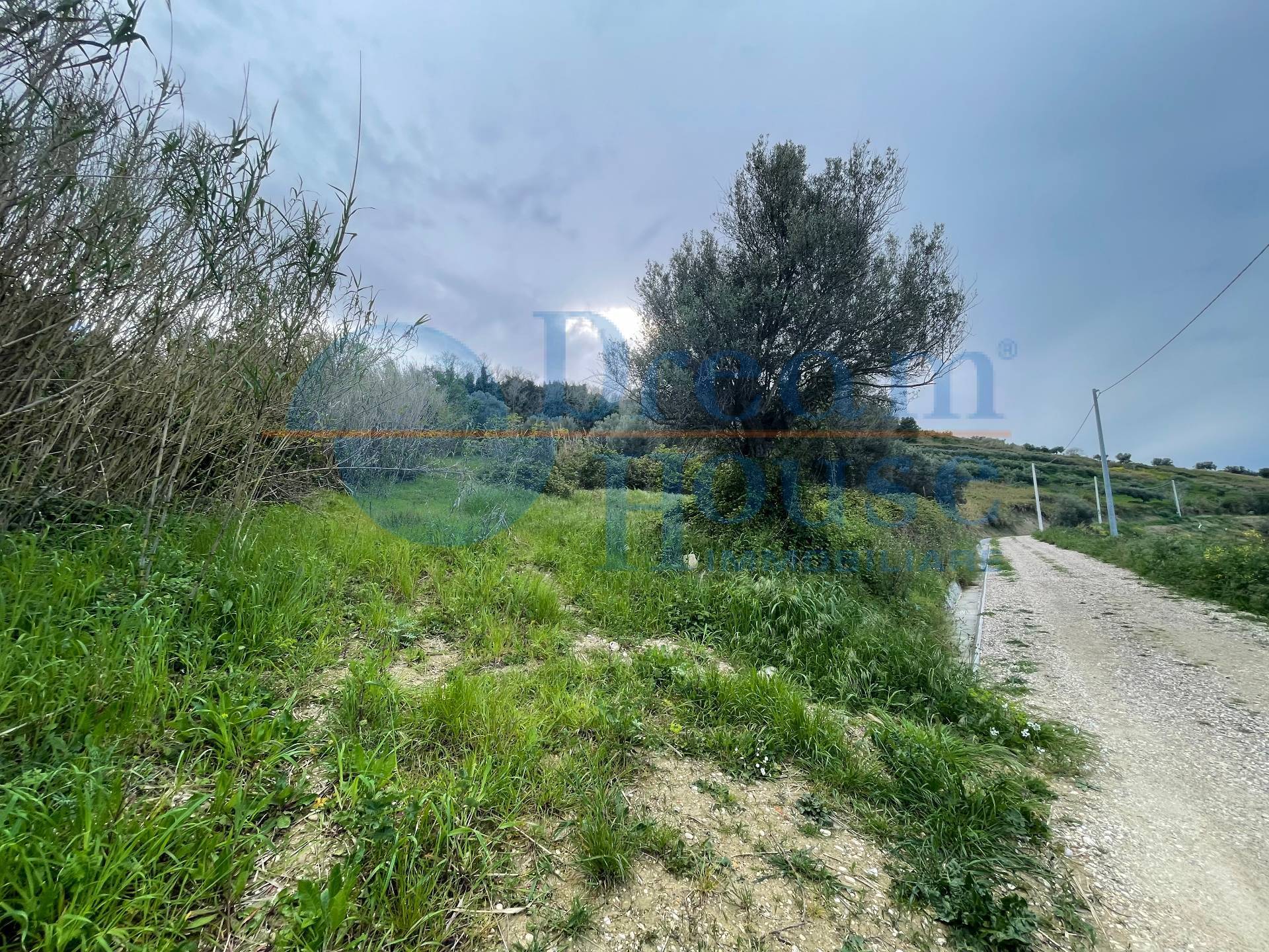 Terreno Agricolo in vendita a Silvi