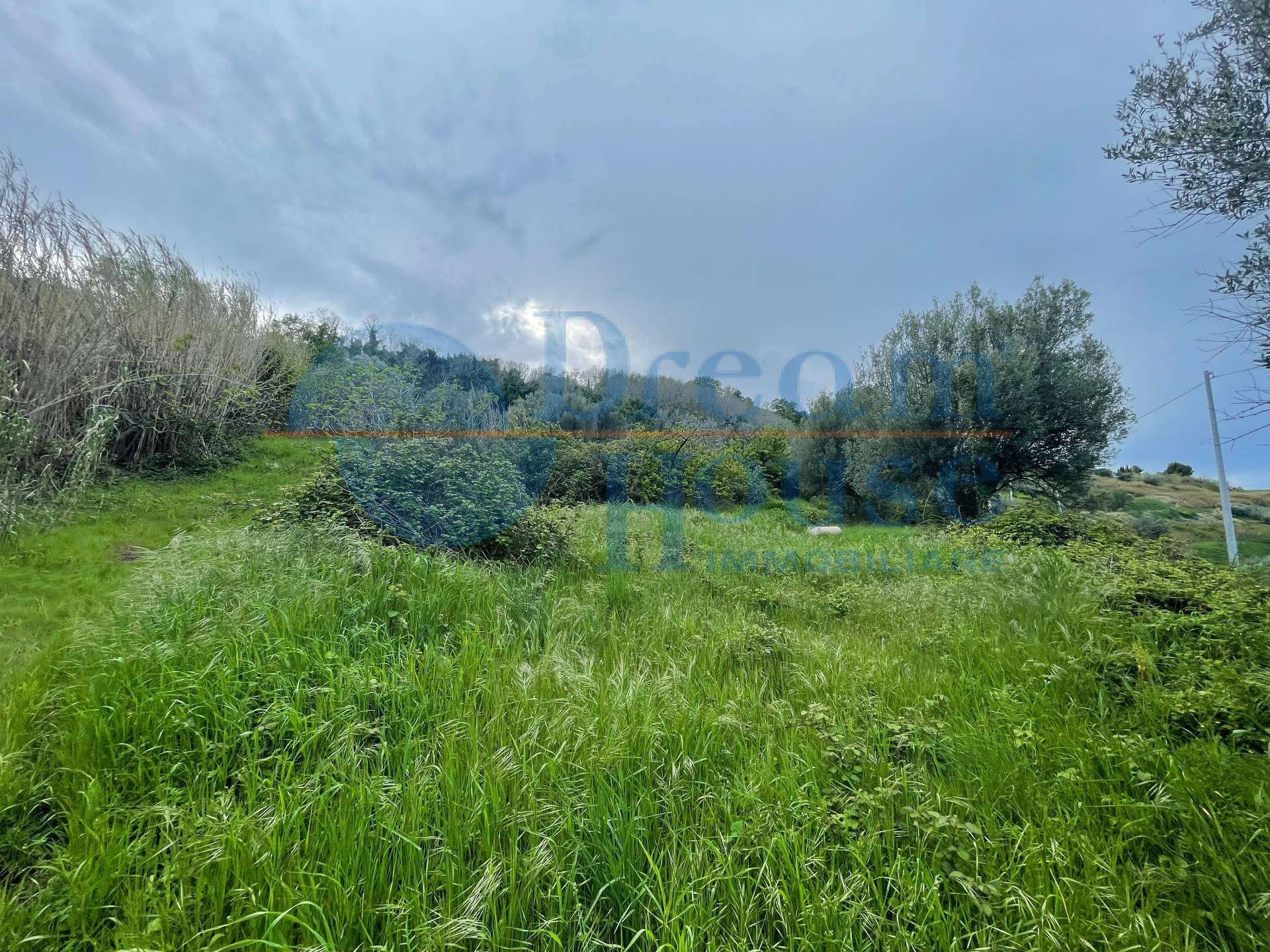 Terreno Agricolo in vendita a Silvi