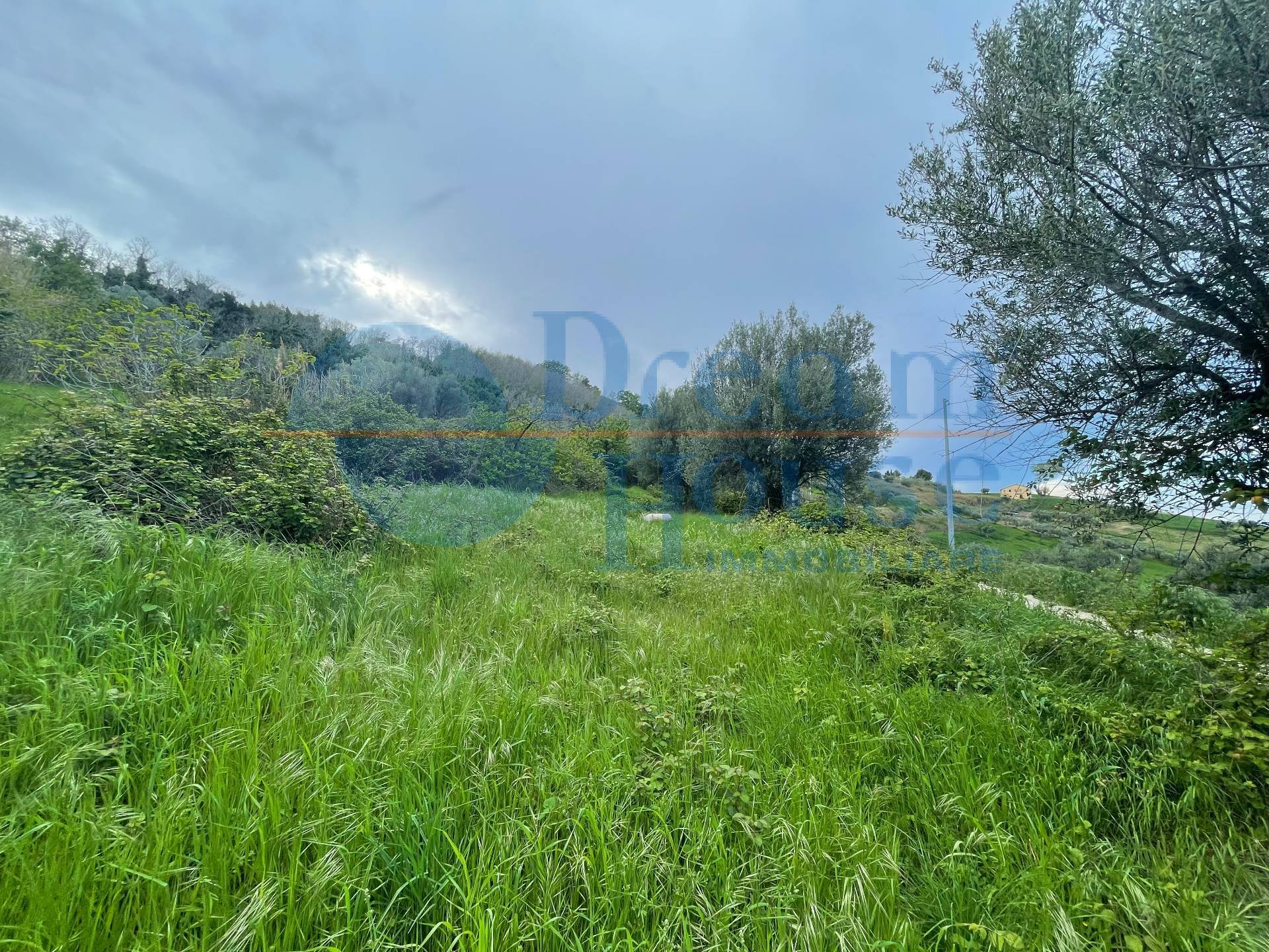 Terreno Agricolo in vendita a Silvi