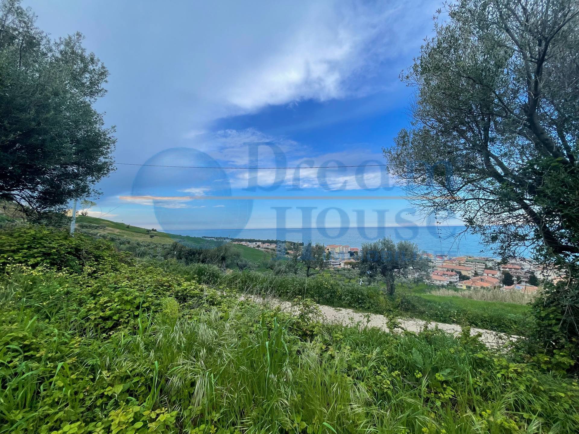 Terreno Agricolo in vendita a Silvi