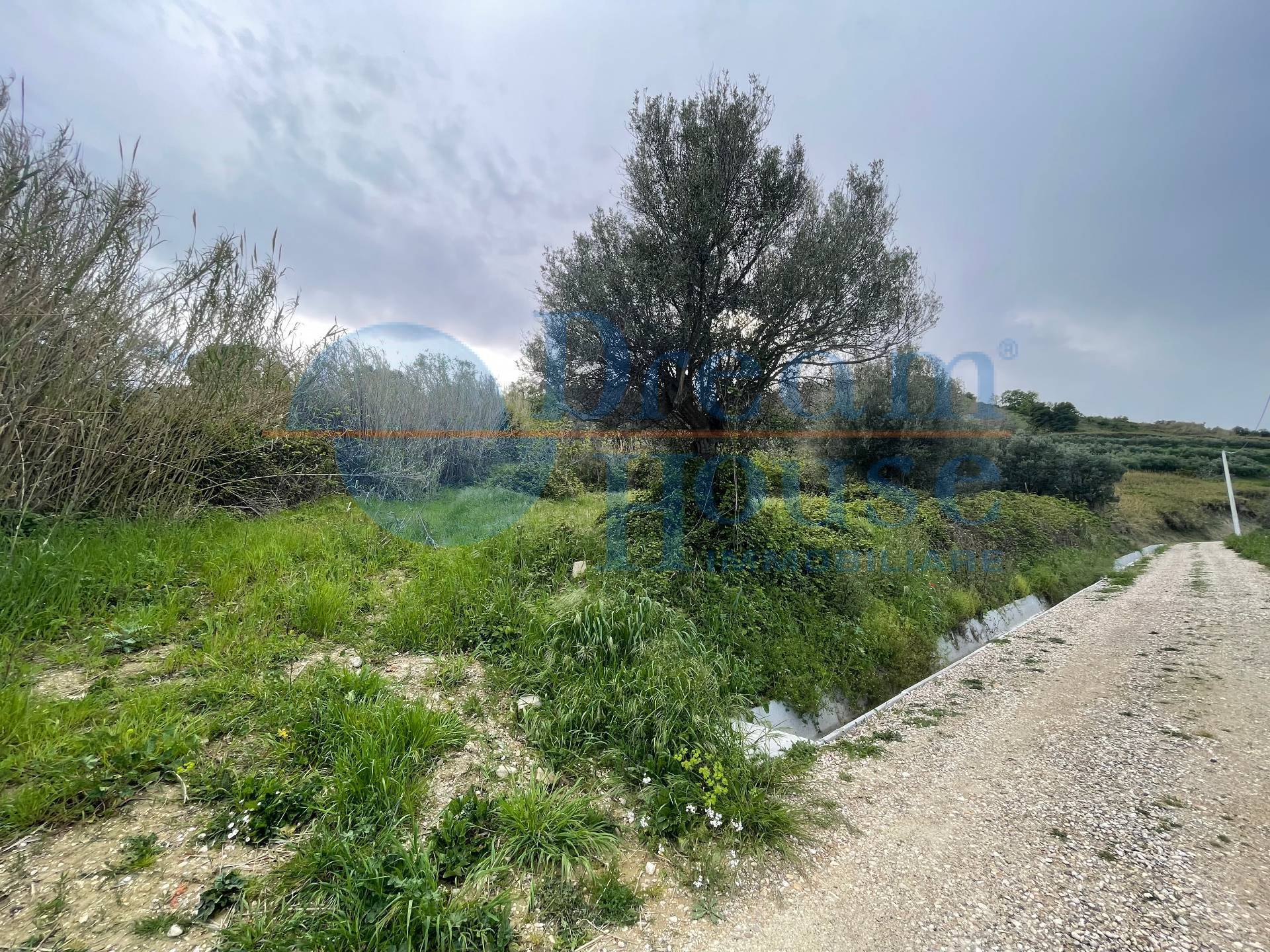 Terreno Agricolo in vendita a Silvi