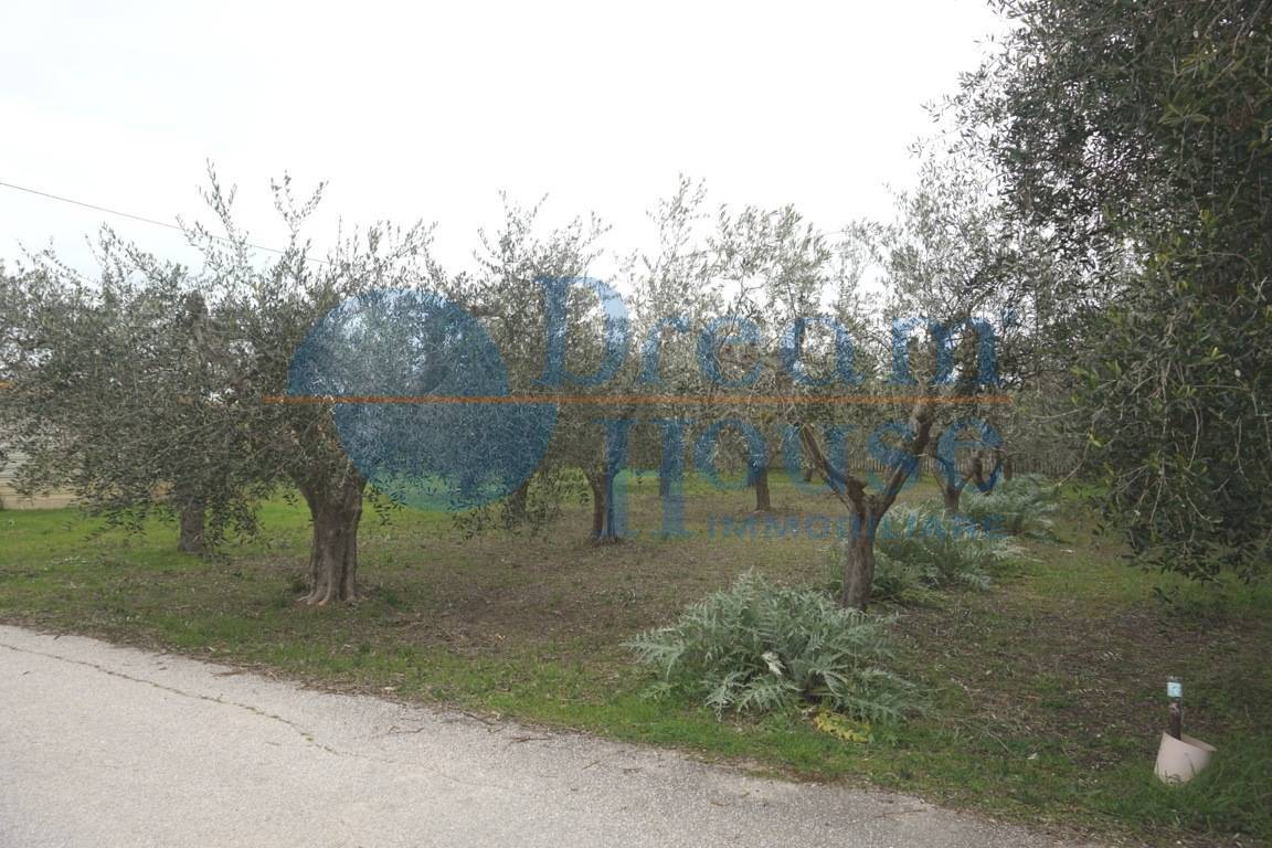 immagine annuncio 3 di 6