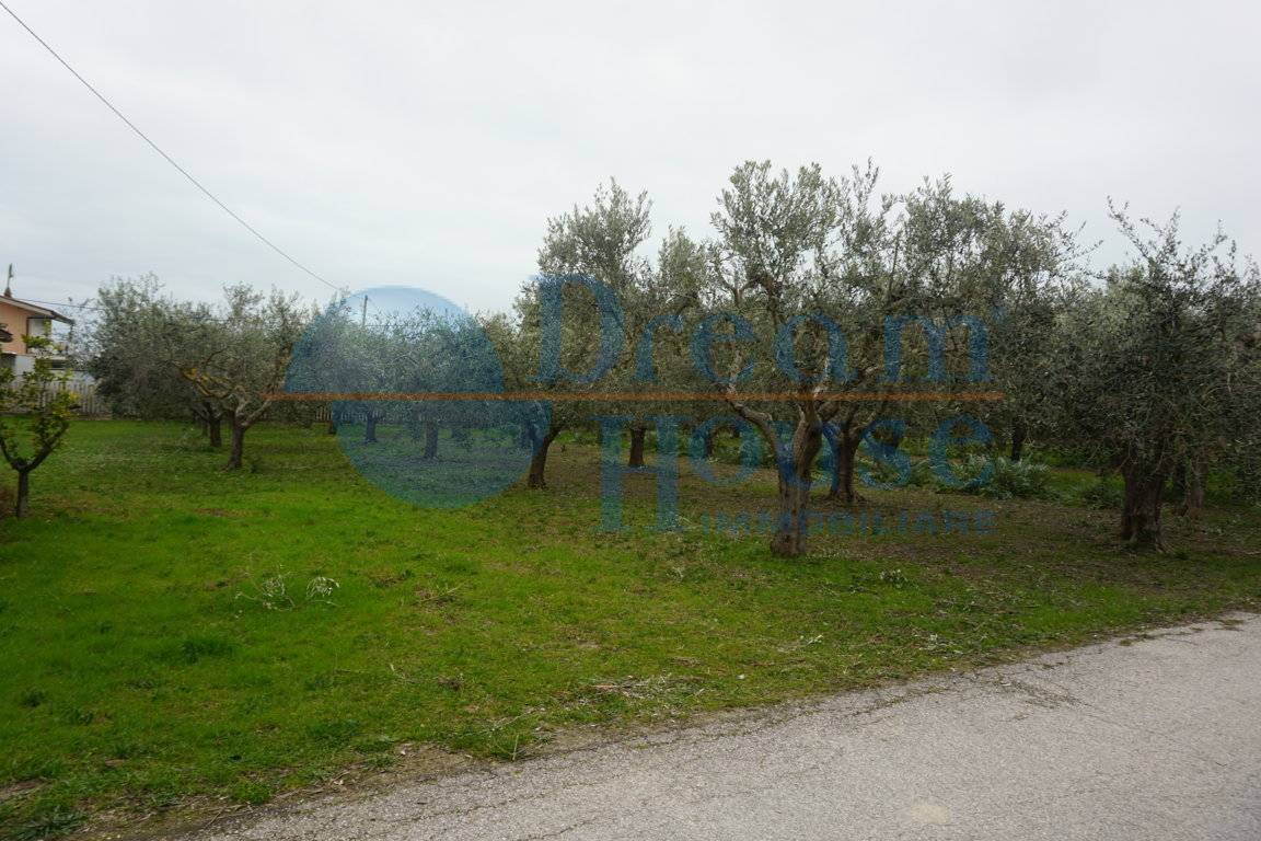 immagine annuncio 4 di 6