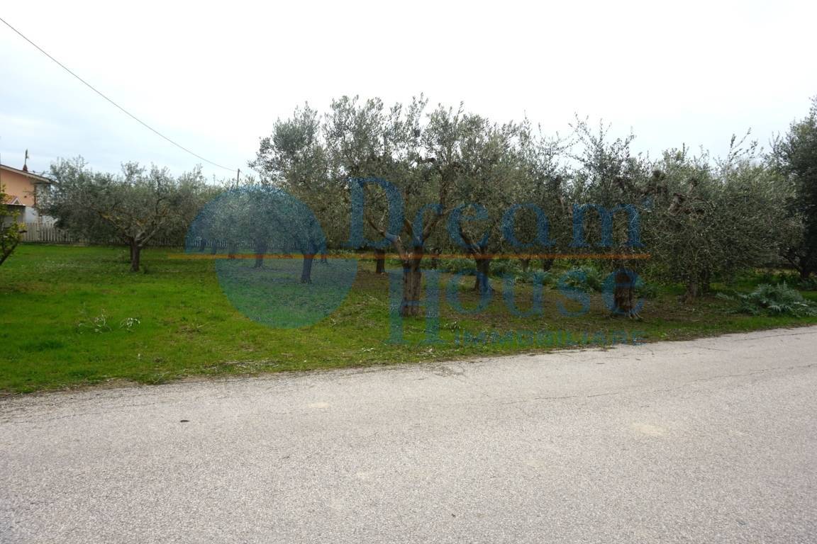 immagine annuncio 5 di 6