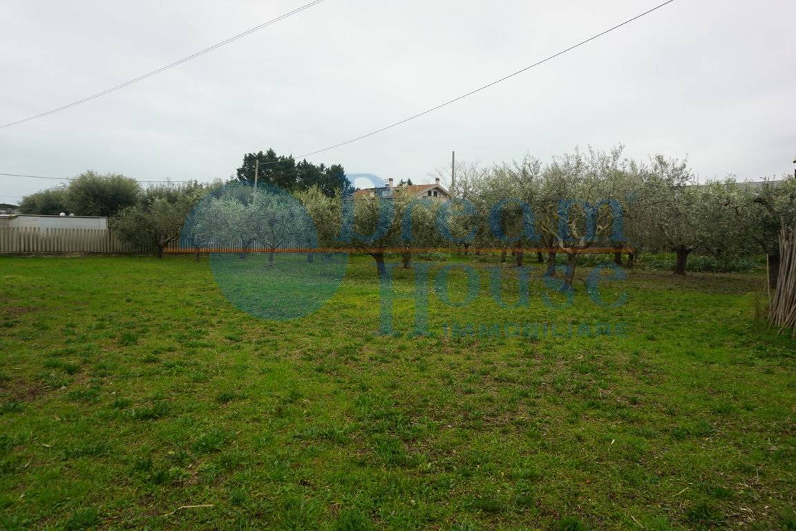 immagine annuncio 1 di 6