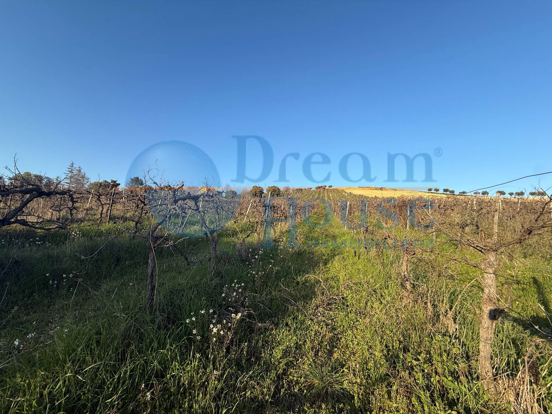 Terreno Agricolo in vendita a Giulianova