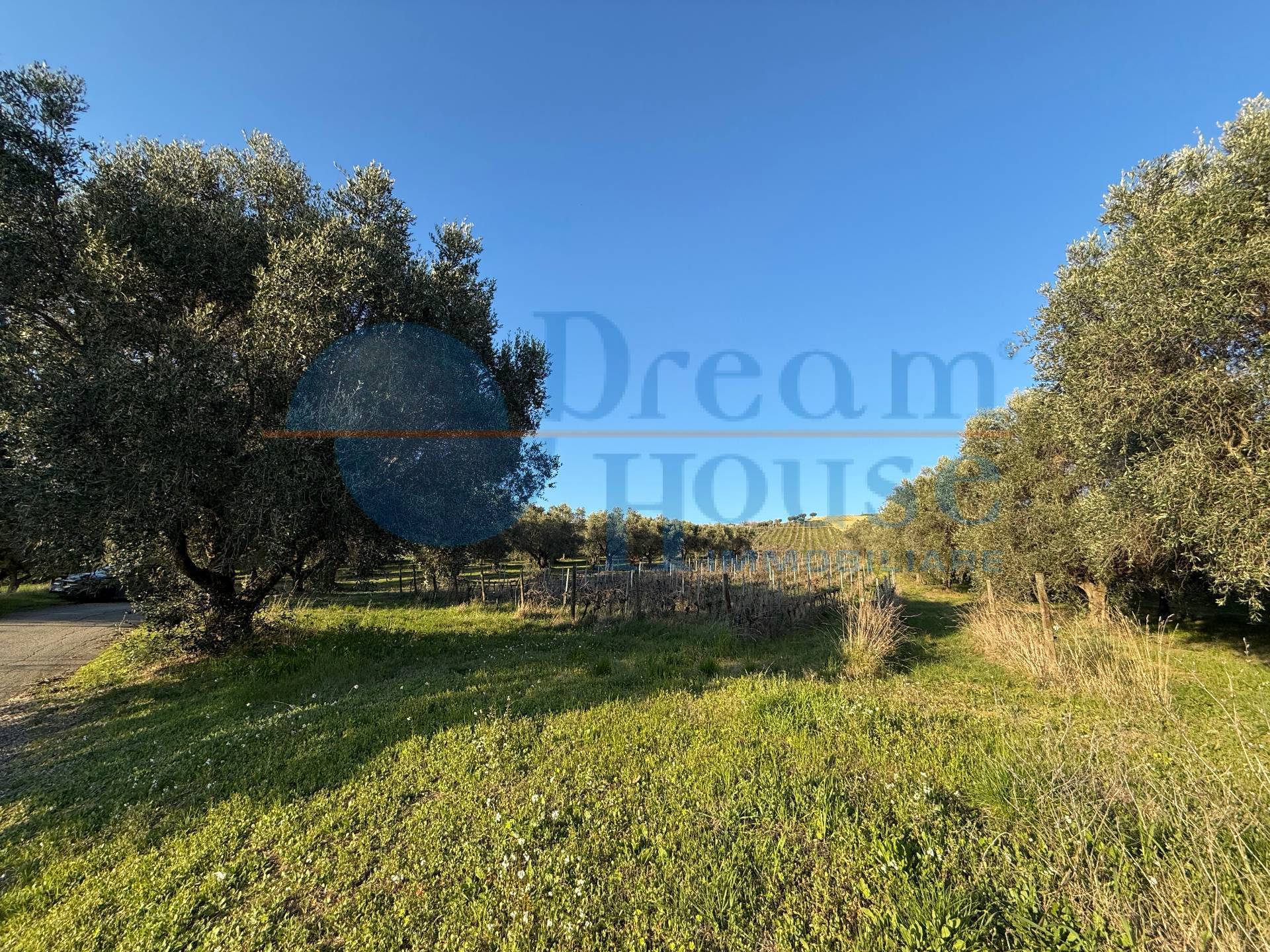 Terreno Agricolo in vendita a Giulianova