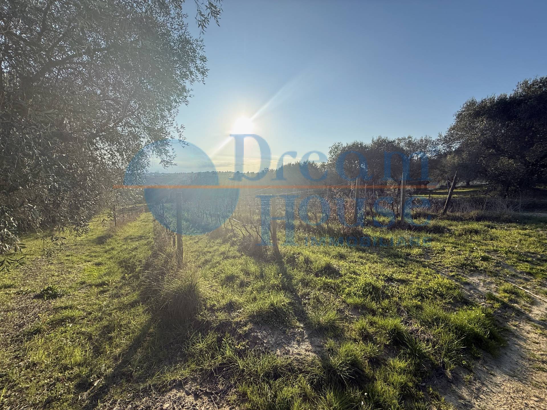 Terreno Agricolo in vendita a Giulianova