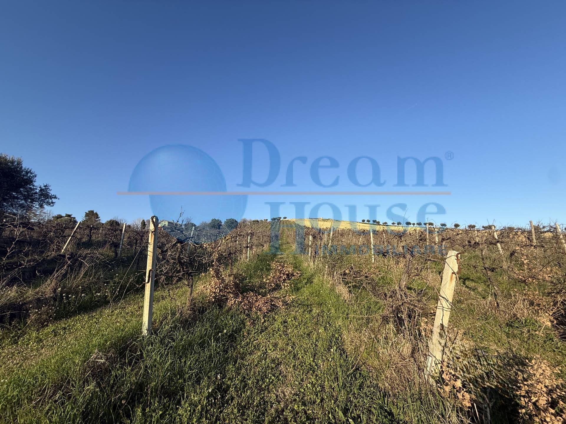Terreno Agricolo in vendita a Giulianova