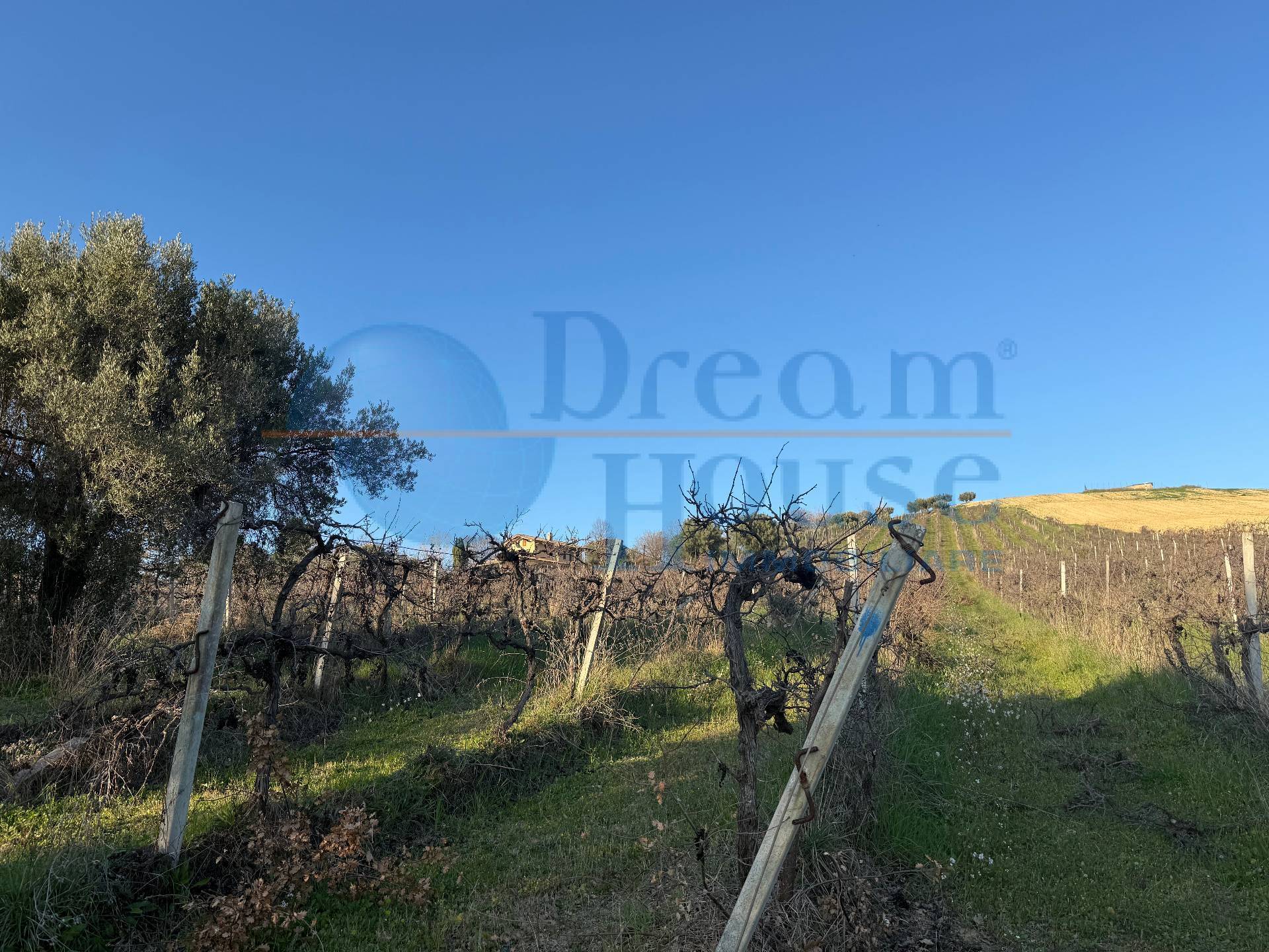Terreno Agricolo in vendita a Giulianova