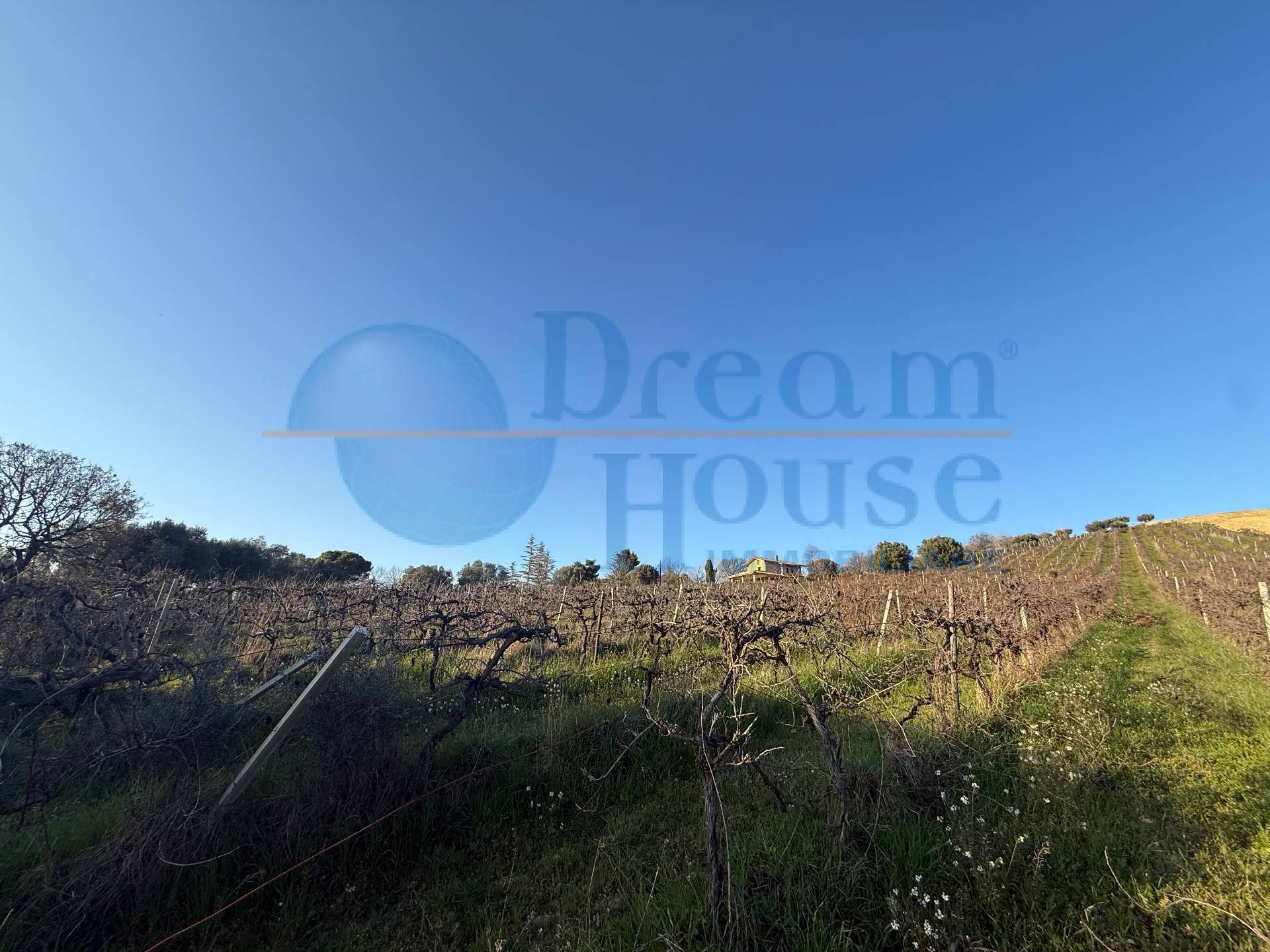 Terreno Agricolo in vendita a Giulianova