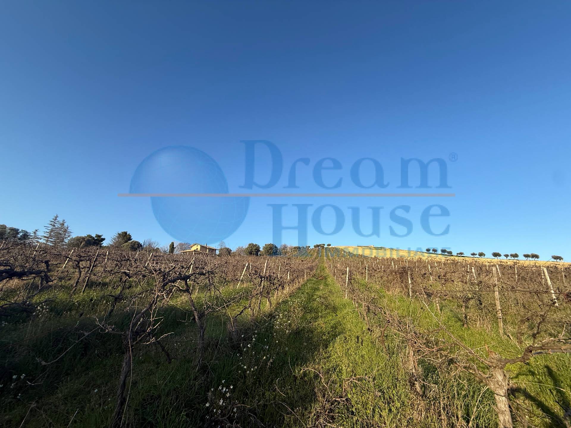 Terreno Agricolo in vendita a Giulianova