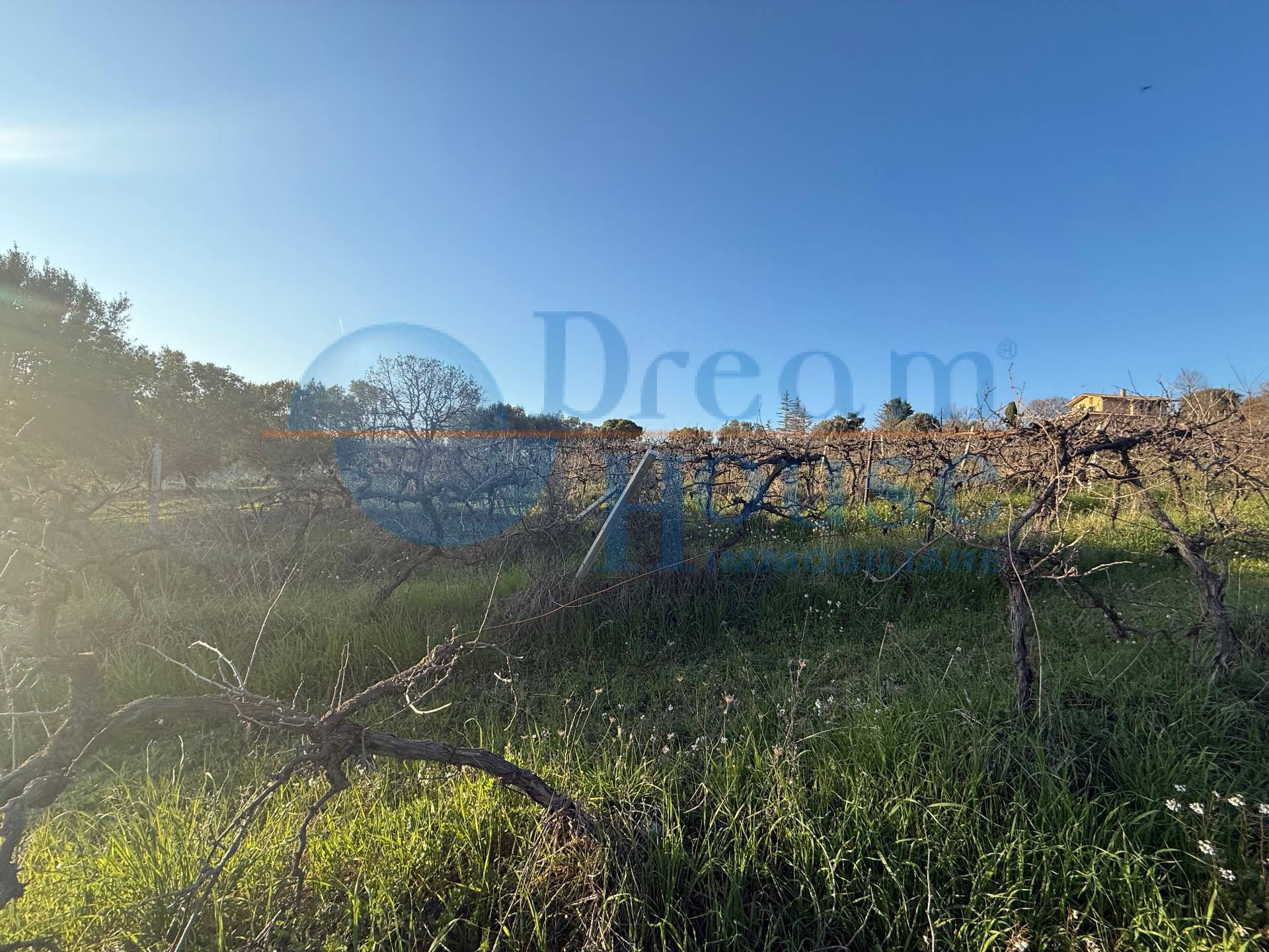 Terreno Agricolo in vendita a Giulianova