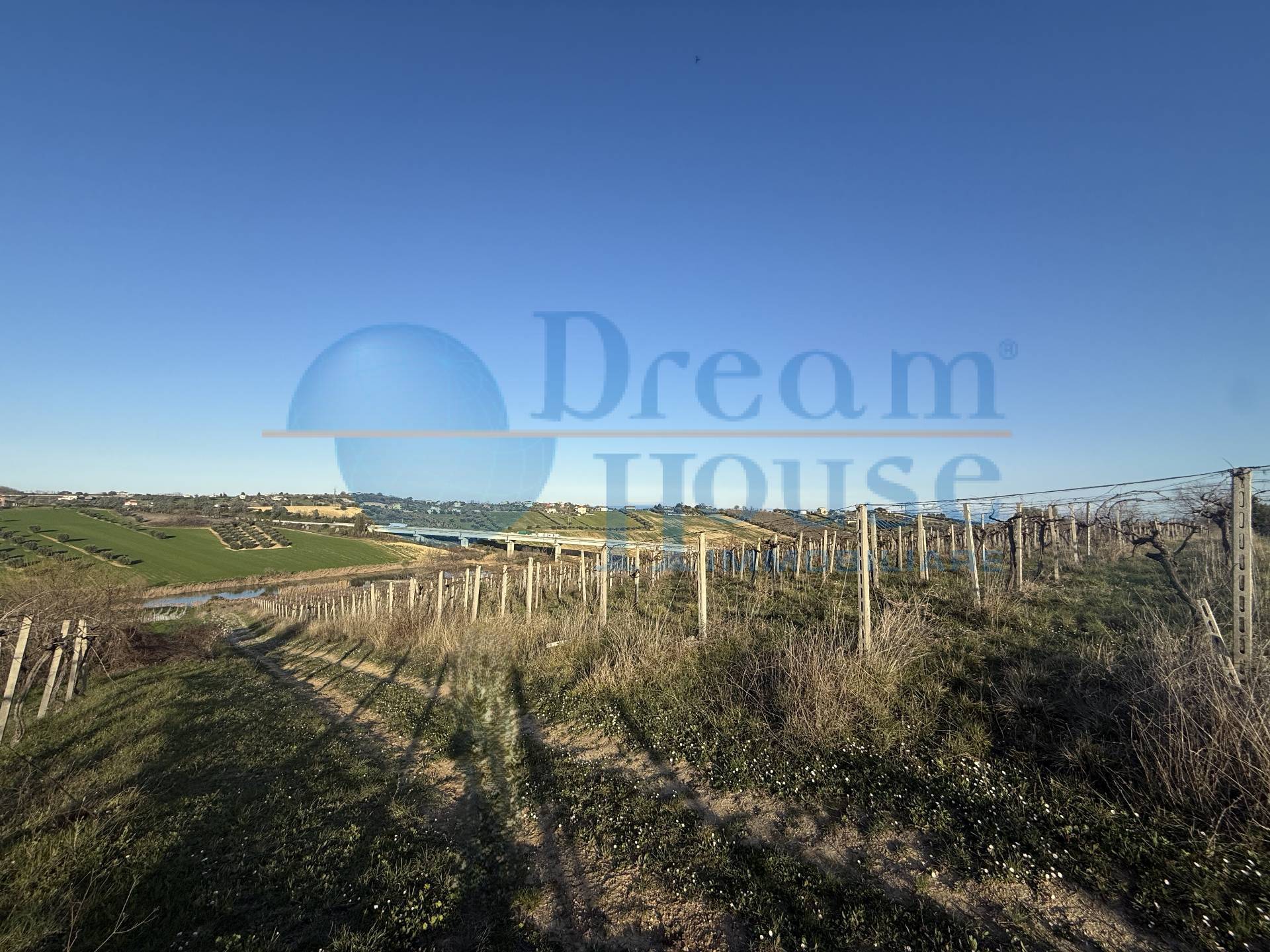 Terreno Agricolo in vendita a Mosciano Sant'Angelo