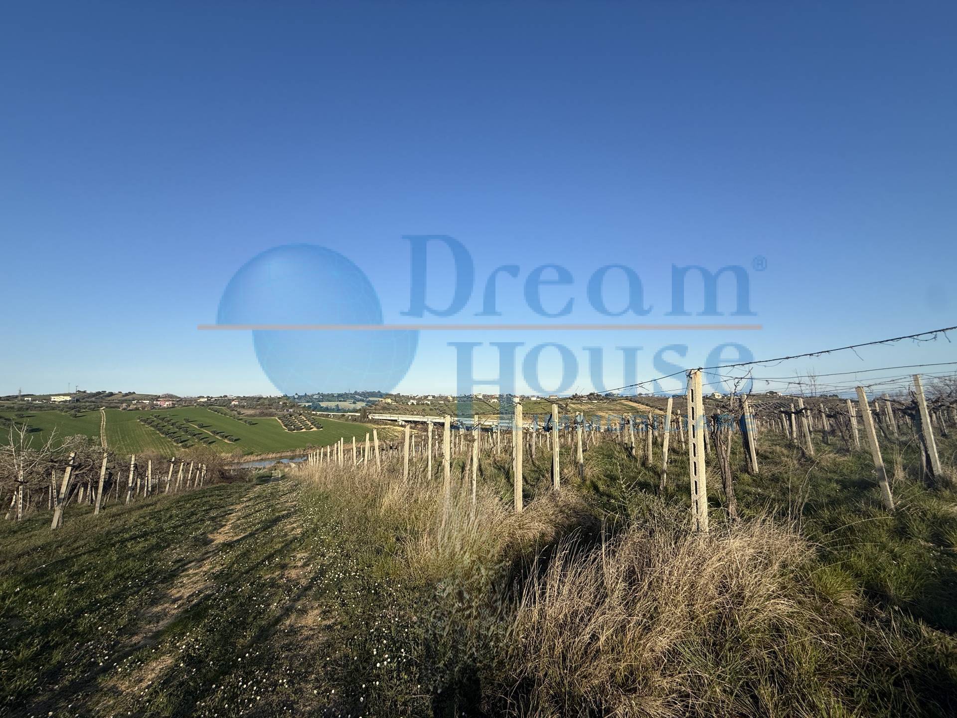 Terreno Agricolo in vendita a Mosciano Sant'Angelo