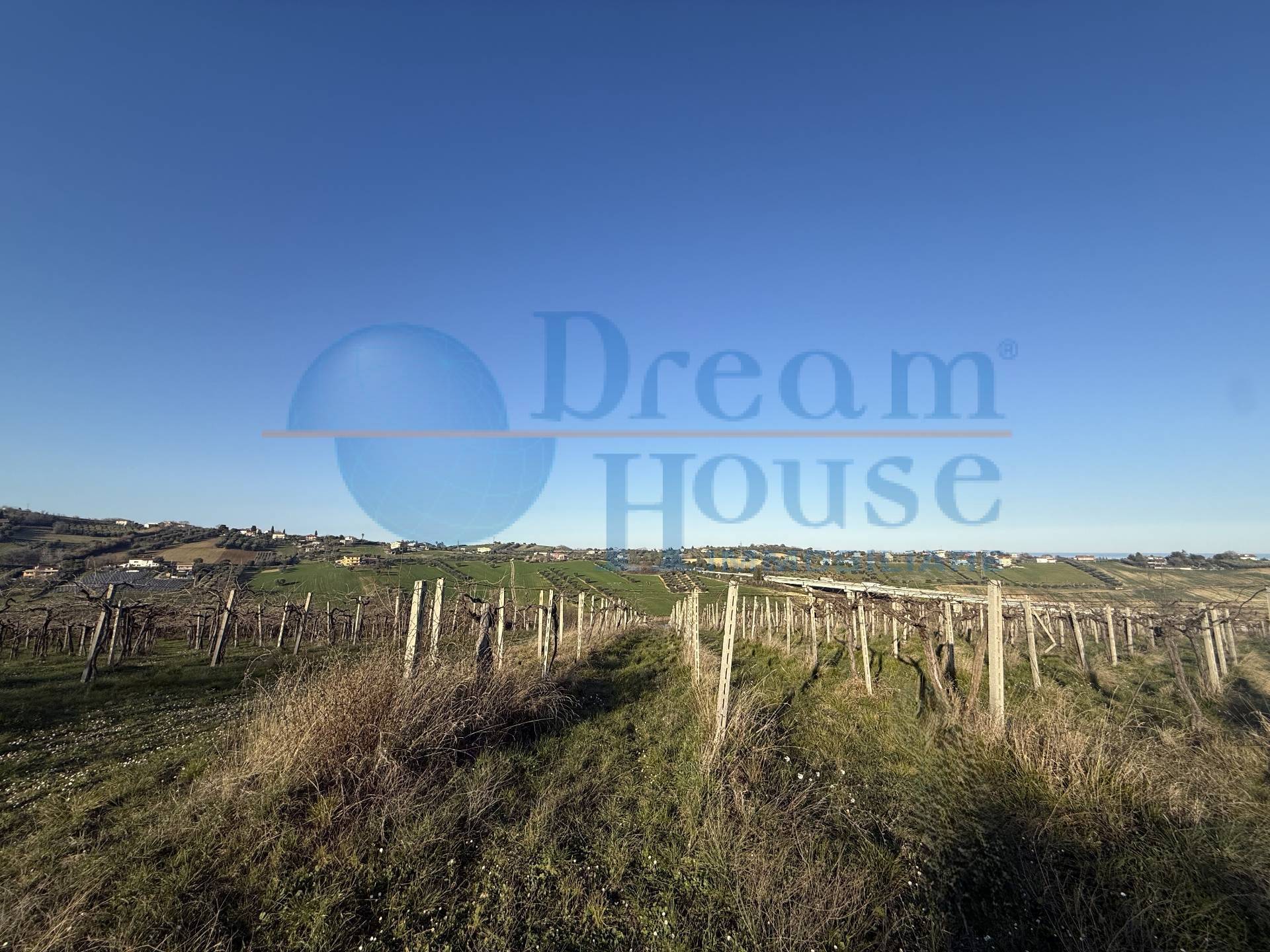 Terreno Agricolo in vendita a Mosciano Sant'Angelo