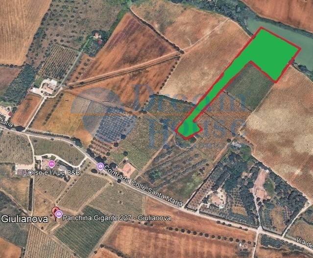 Terreno Agricolo in vendita a Mosciano Sant'Angelo
