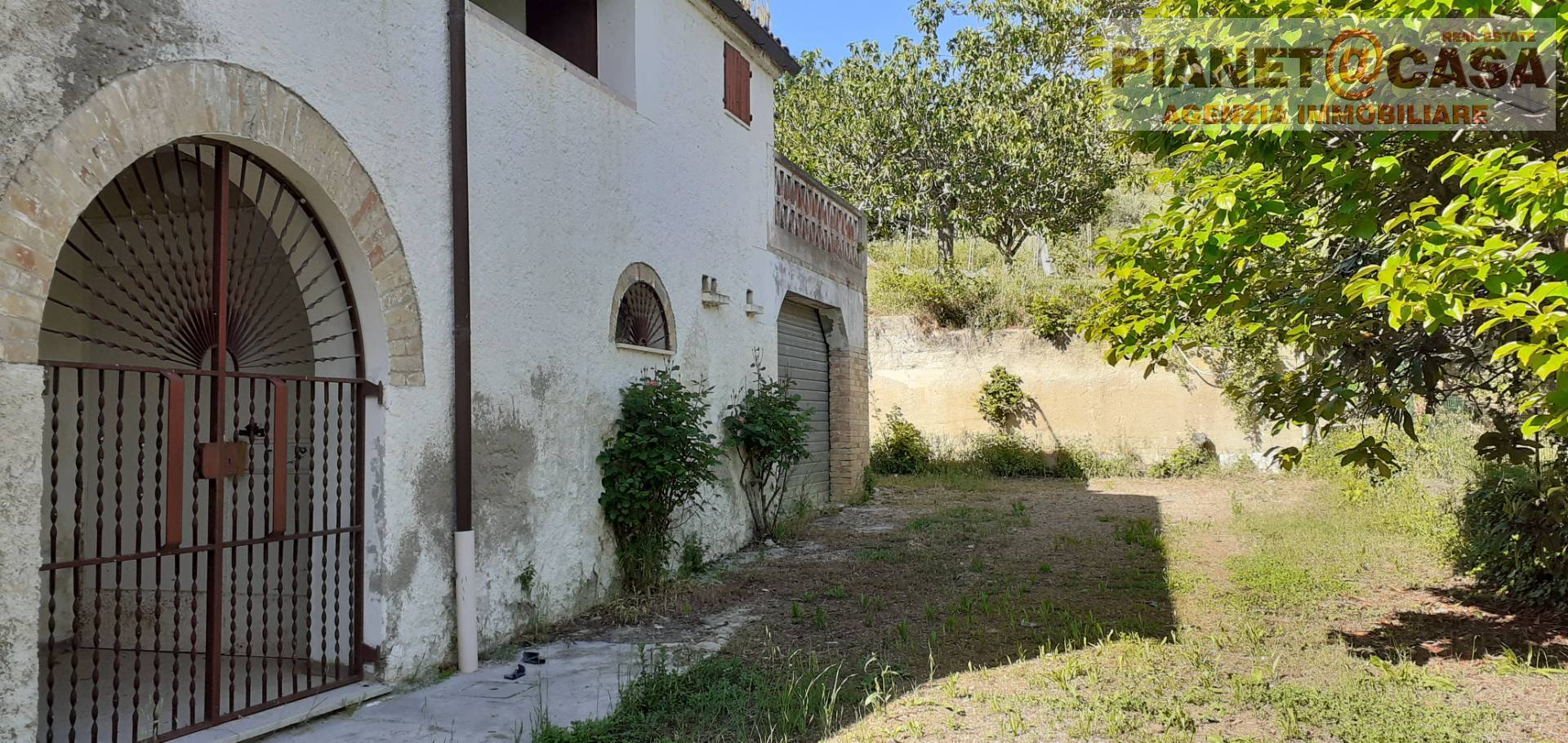 immagine annuncio 2 di 6